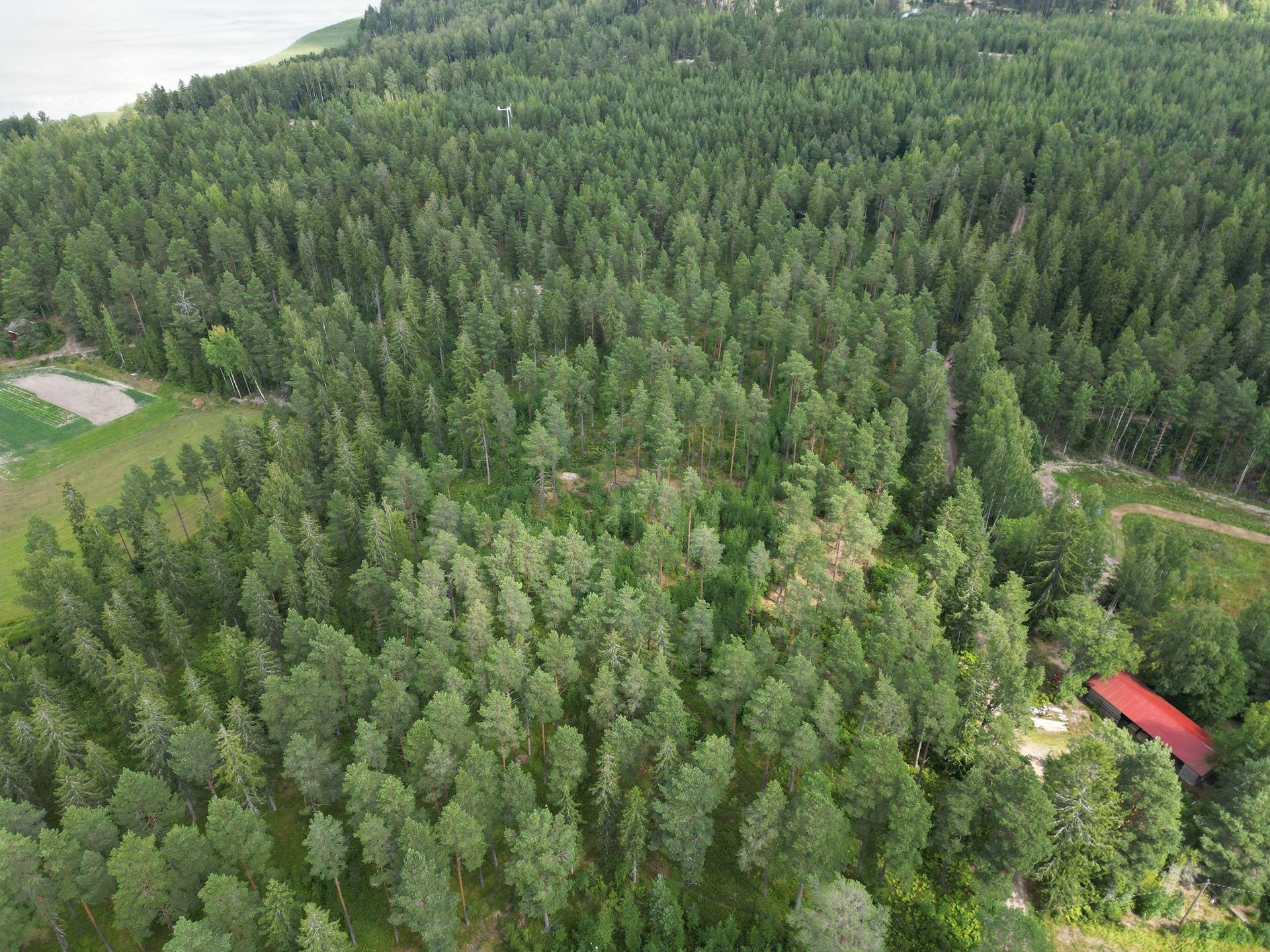 Salo, Kirjakkala, metsämääräala 9,67 ha tilasta Kallio 1:152 6