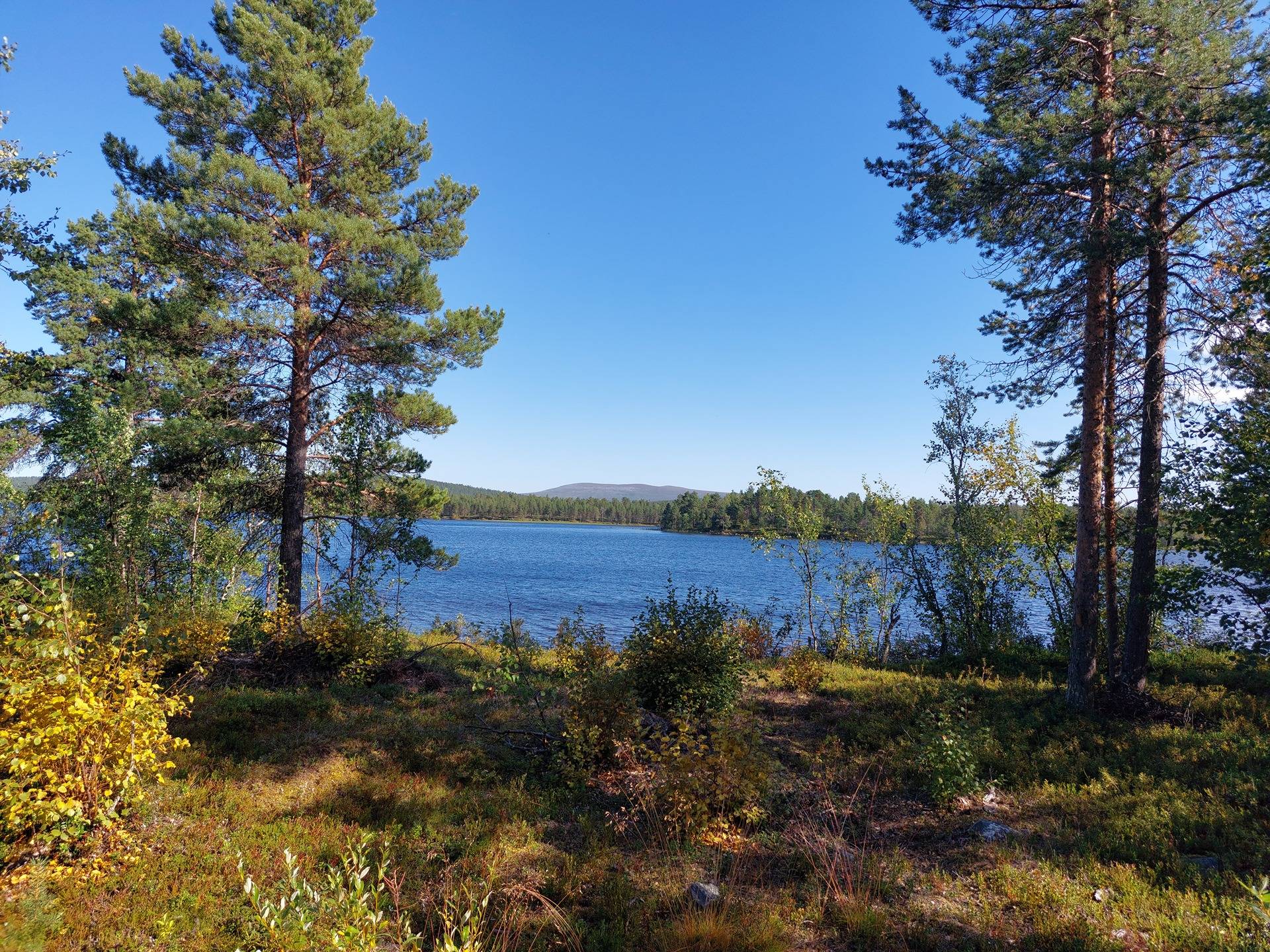 Ounasjärvi ranta 1