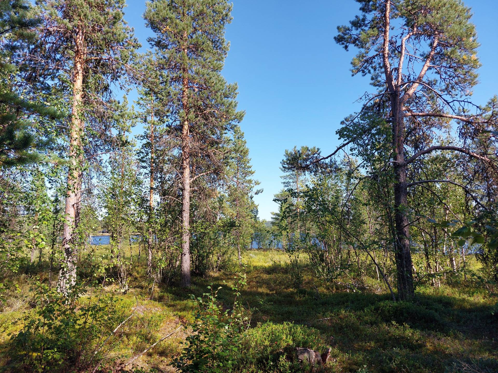 Ounasjärvi ranta 2