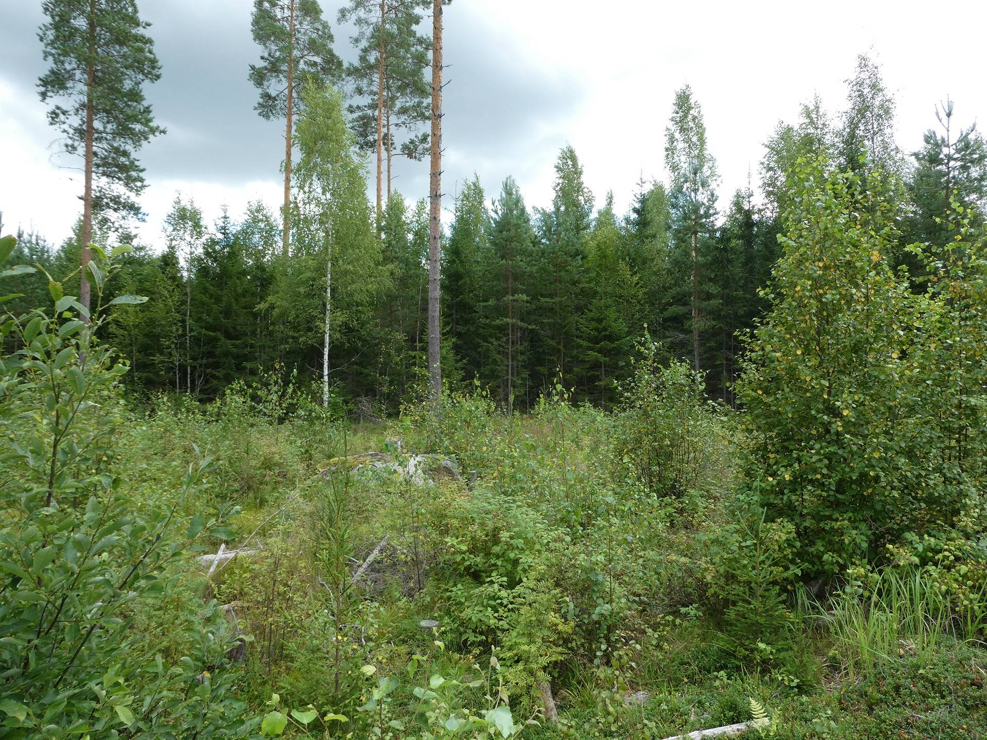 Kansikuva kohteelle TYRISEVÄ 3:53, KIIKKA, SASTAMALA