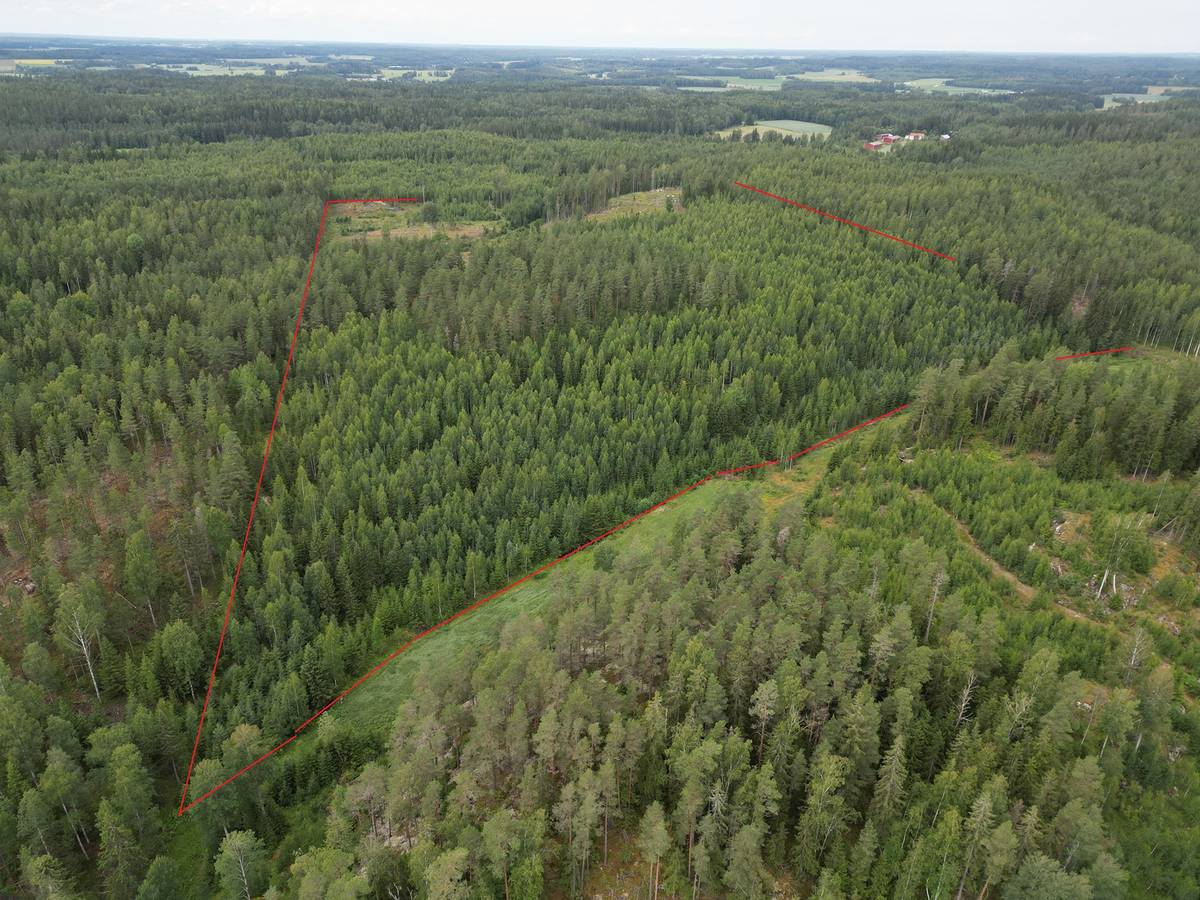 Omslagsbild för objektet Metsämääräala n. 24 ha Somero, Kultela, Vanha Torrontie