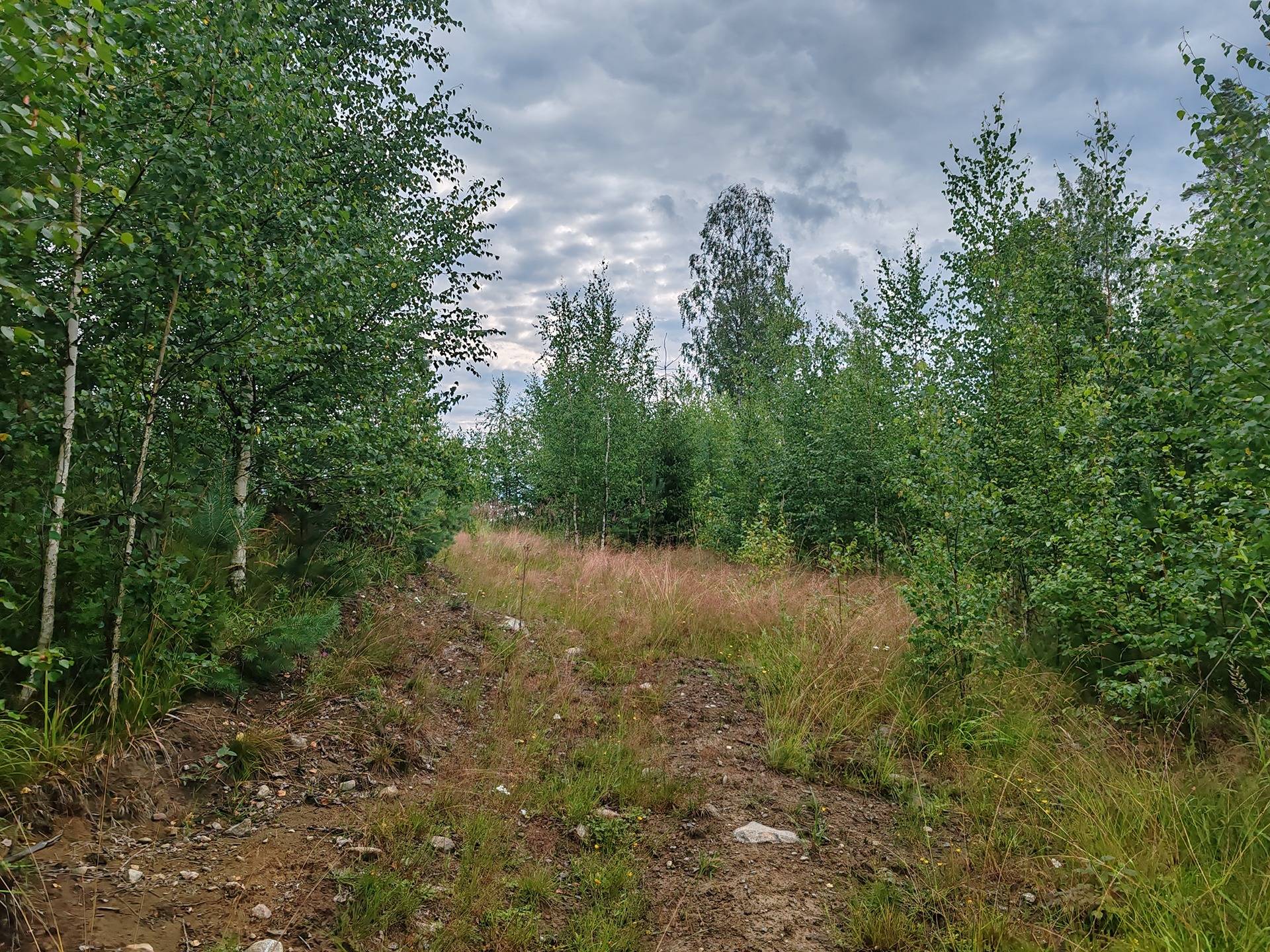 Metsämääräala n. 24 ha Somero, Kultela, Vanha Torrontie 3