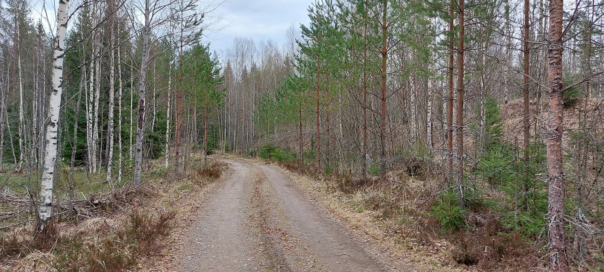 Omslagsbild för objektet Harju 2:10 ja Harjunjatko 3:21