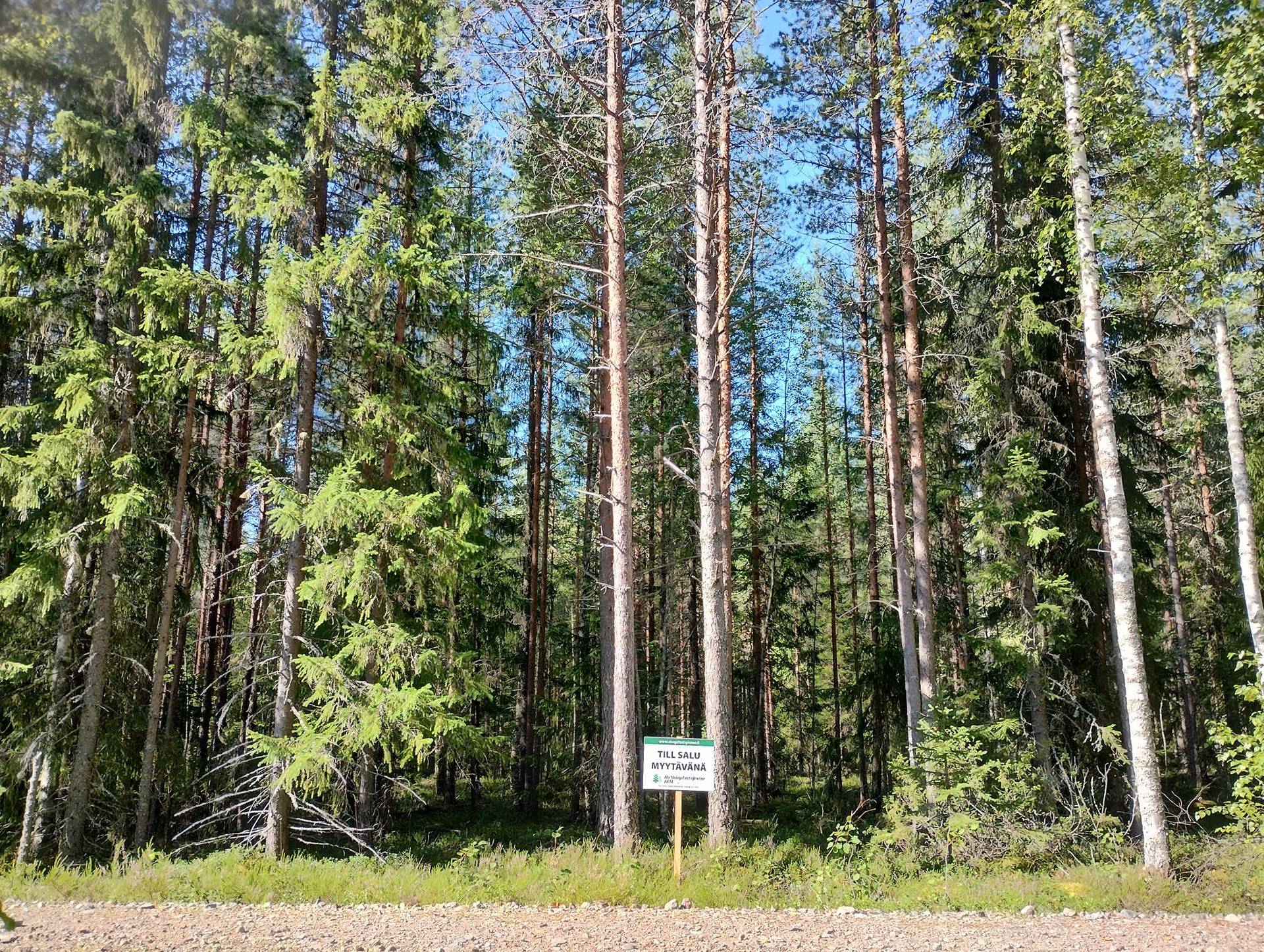 Omslagsbild för objektet del av/osa Smöröga 8:47 i Överpurmo, Kållby by/Kolppi kylä