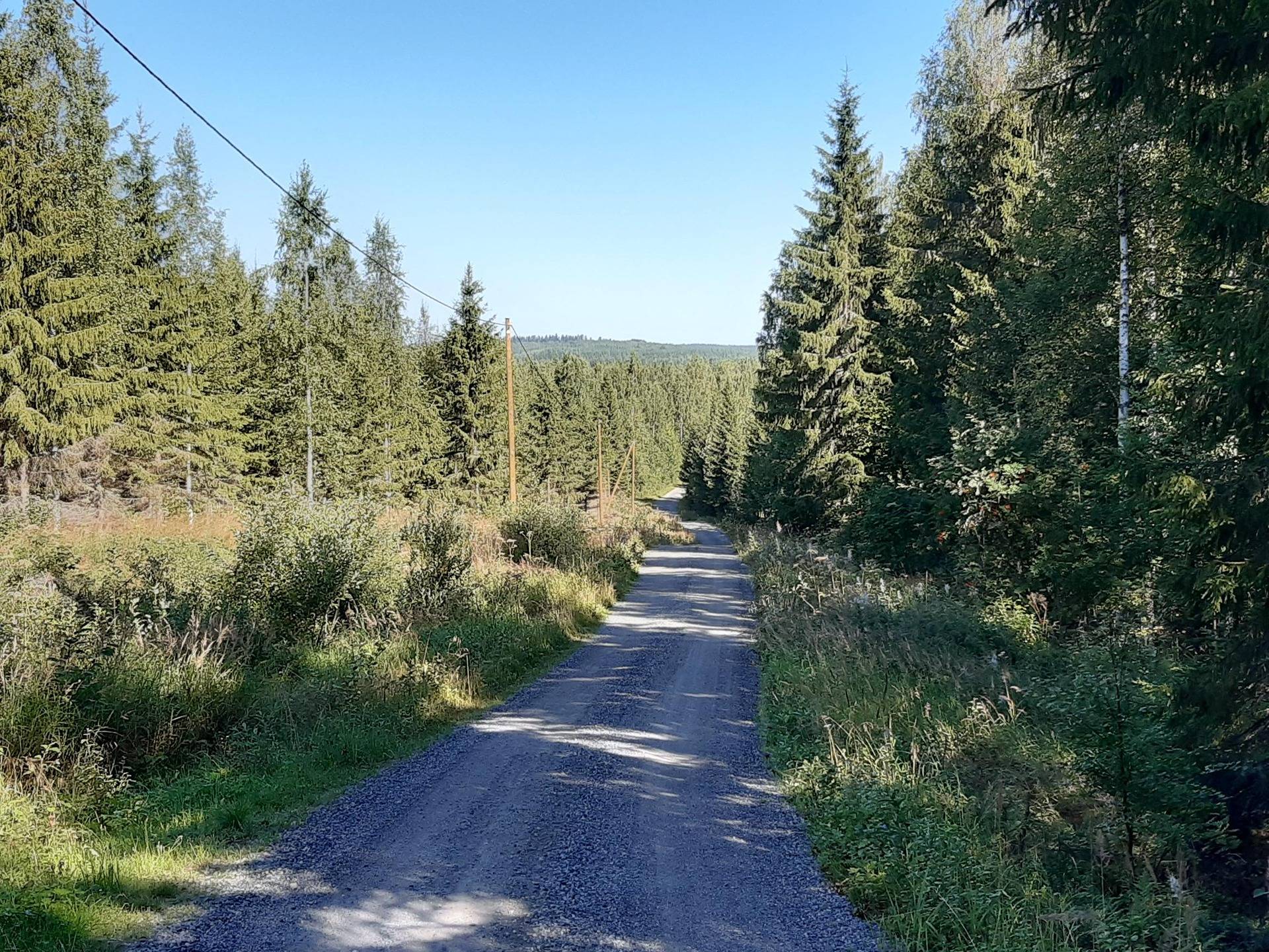 Omslagsbild för objektet PALOMÄKI 3:5 ja YLÄLIPPONEN 3:8