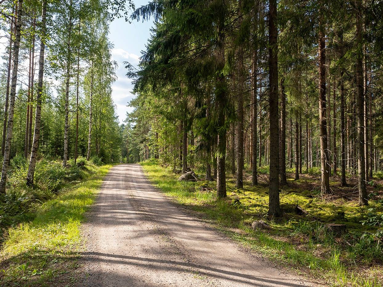 Omslagsbild för objektet 507-423-1-151 Rannanmaa