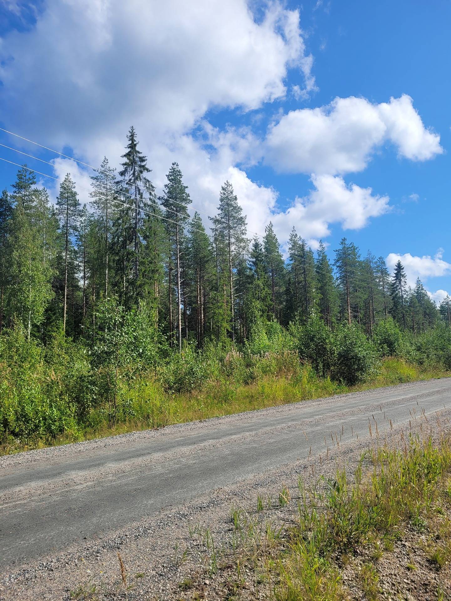 Omslagsbild för objektet Ojala