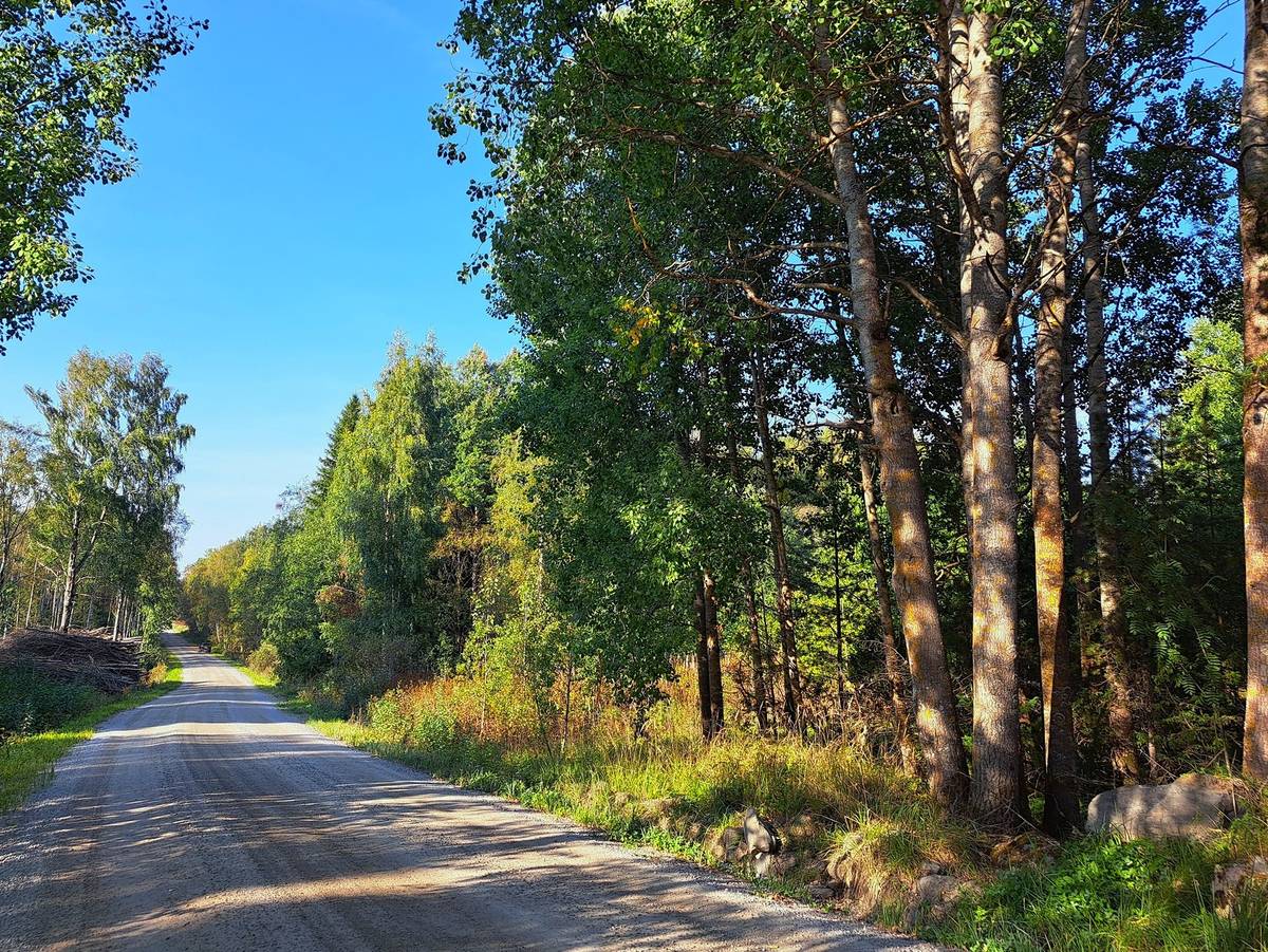 Omslagsbild för objektet Evijärvi Aho, metsätilat TERVASHUHTA 10:48 ja HAKAMAA 10:30 yhteensä 8,1 ha