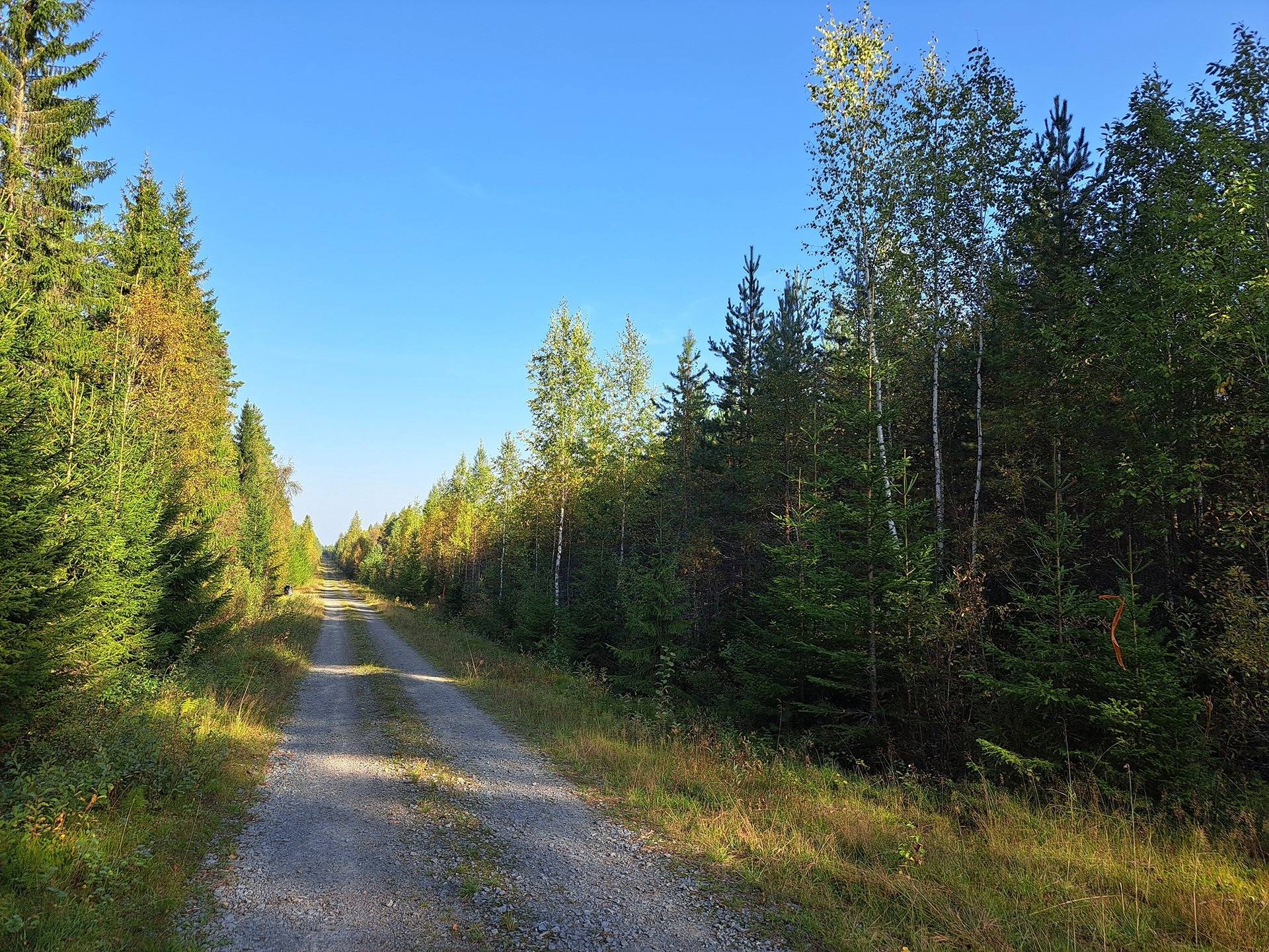 Evijärvi Aho, metsätilat TERVASHUHTA 10:48 ja HAKAMAA 10:30 yhteensä 8,1 ha 2