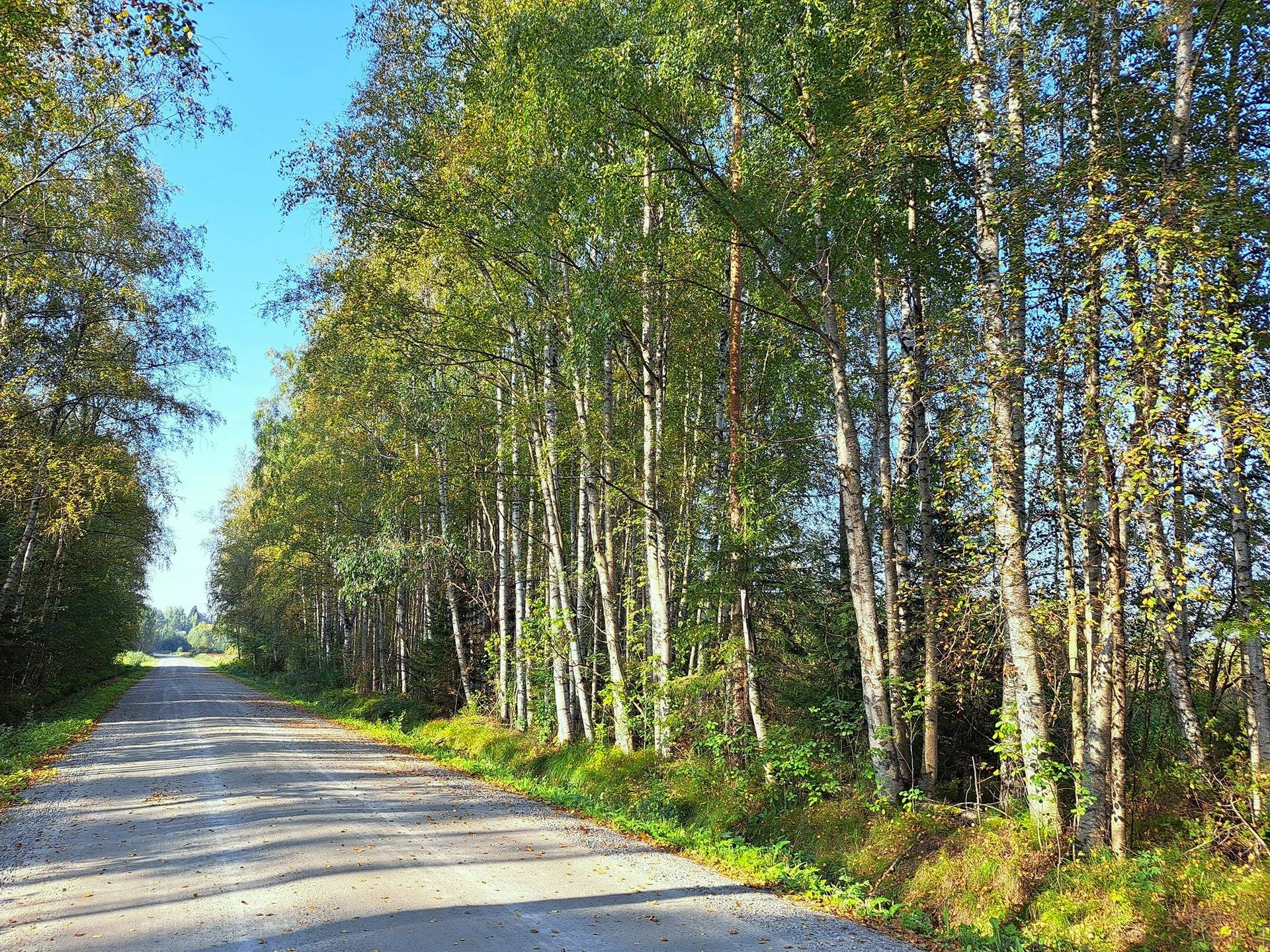 Evijärvi Aho, metsätilat TERVASHUHTA 10:48 ja HAKAMAA 10:30 yhteensä 8,1 ha 7