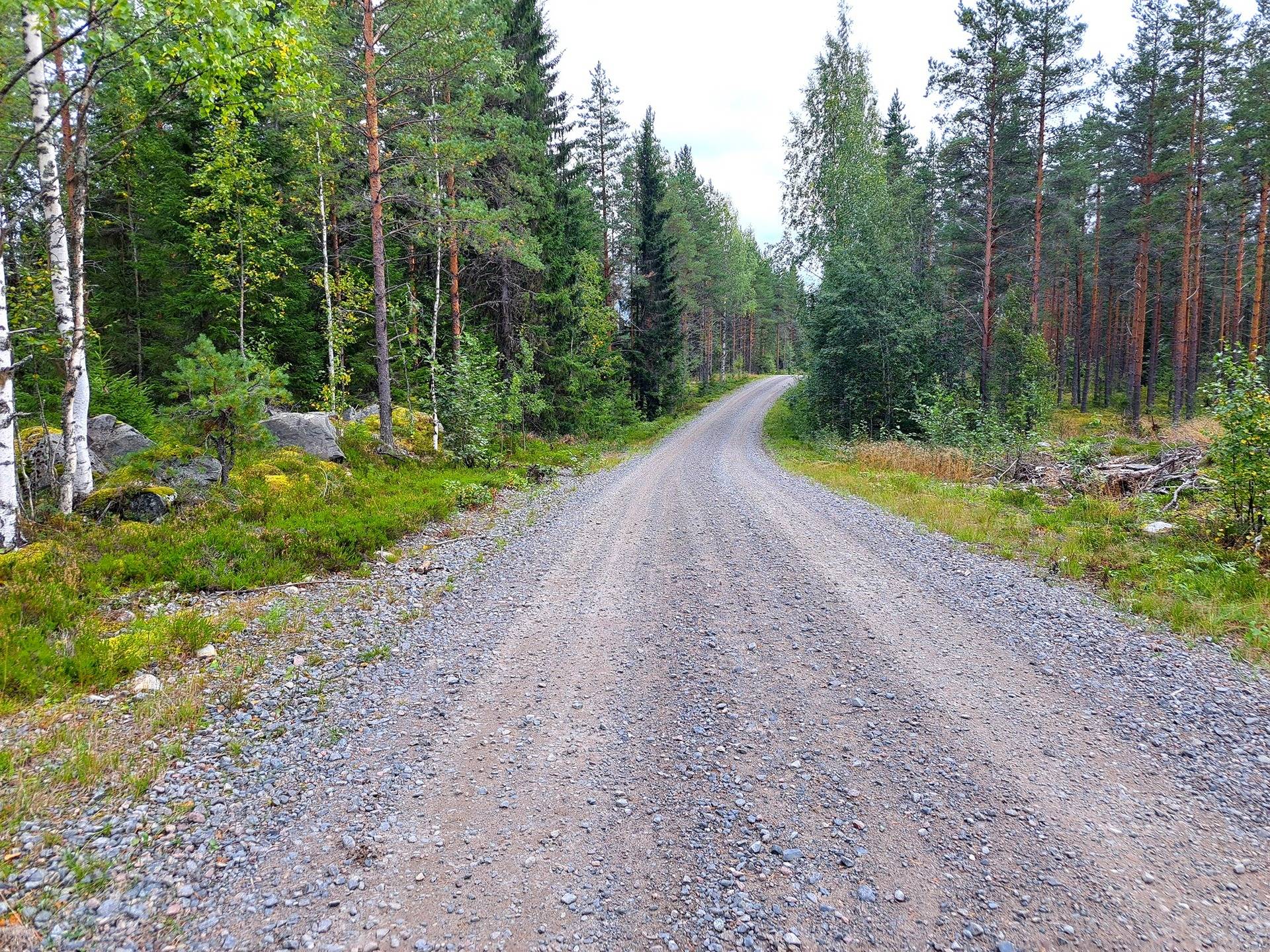 Perho Jänkä, LISÄ-LEHMÄKANGAS 186:0 metsätila 44,07 ha 2