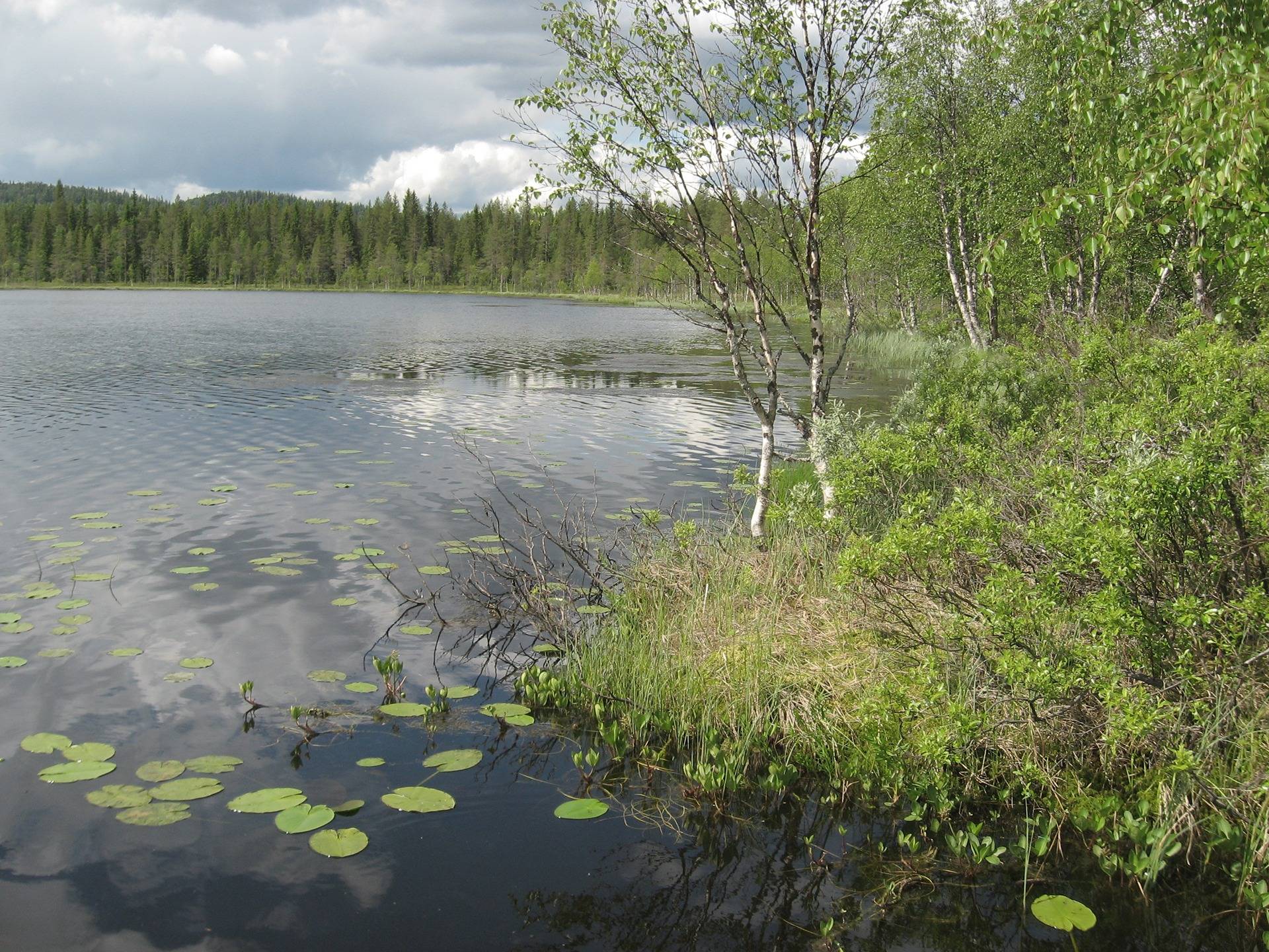 Törmä 615-408-31-8 5