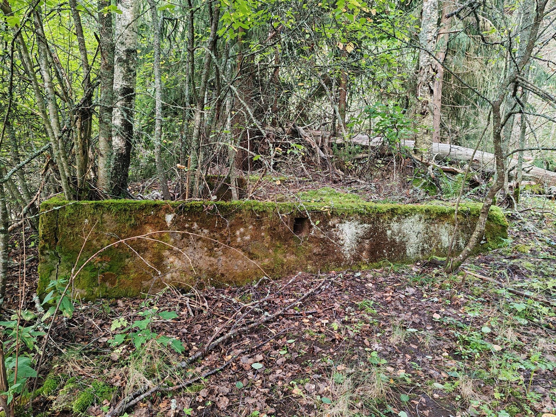 Metsämääräala tilasta Metsämäntylä, Salo, Toija 9