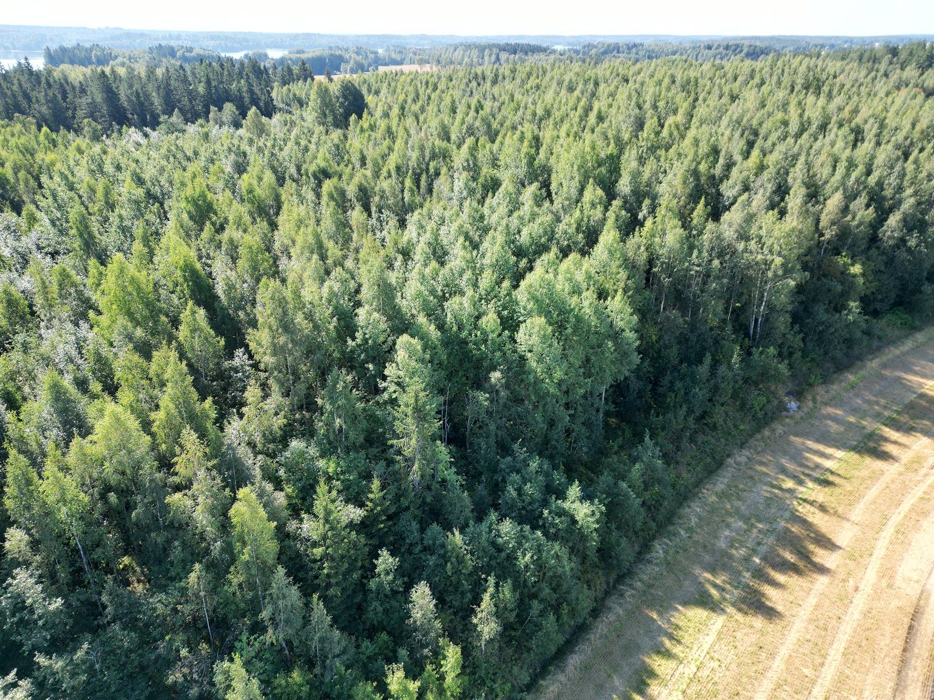 Metsämääräala tilasta Metsämäntylä, Salo, Toija 13