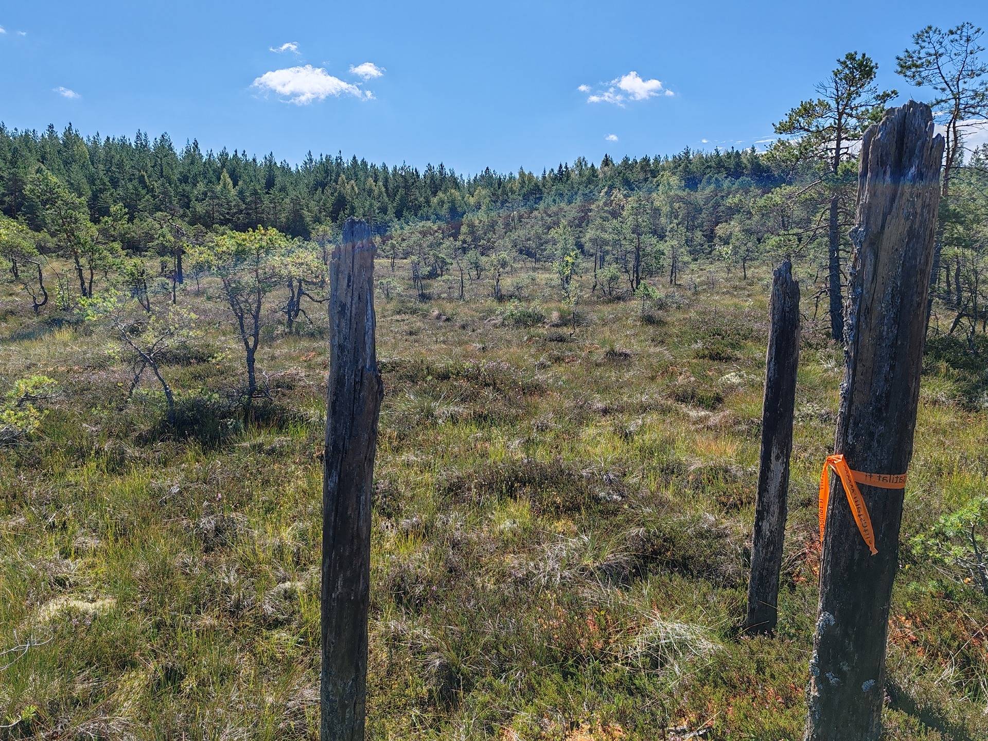 Metsämääräala tilasta Metsämäntylä, Salo, Toija 28