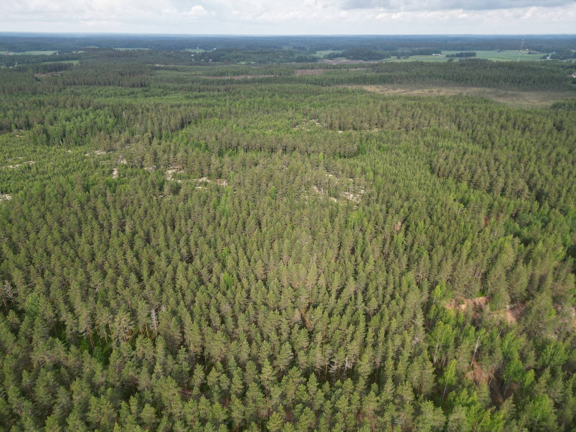 Metsämääräala tilasta Metsämäntylä, Salo, Toija 30