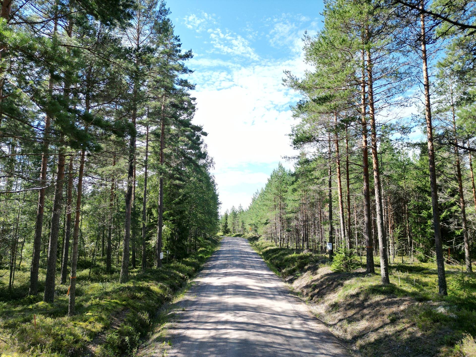 Metsämääräala tilasta Metsämäntylä, Salo, Toija 31