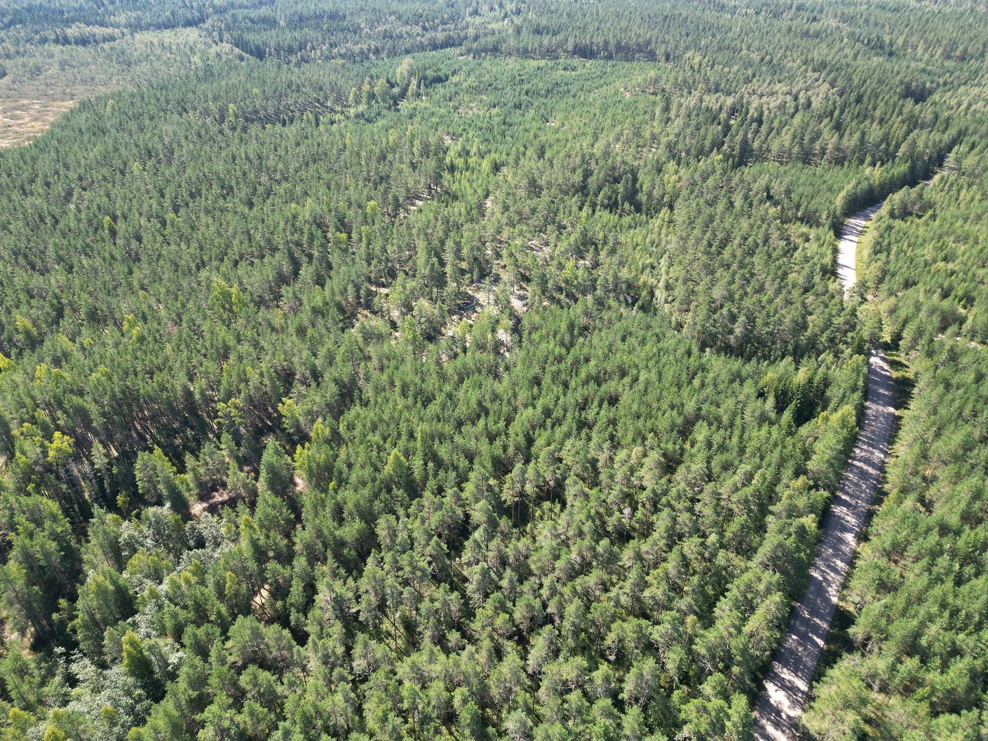 Metsämääräala tilasta Metsämäntylä, Salo, Toija 34