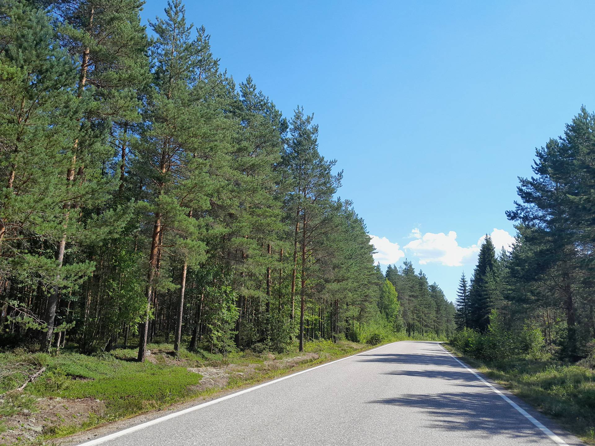 Omslagsbild för objektet Alakeinälä I