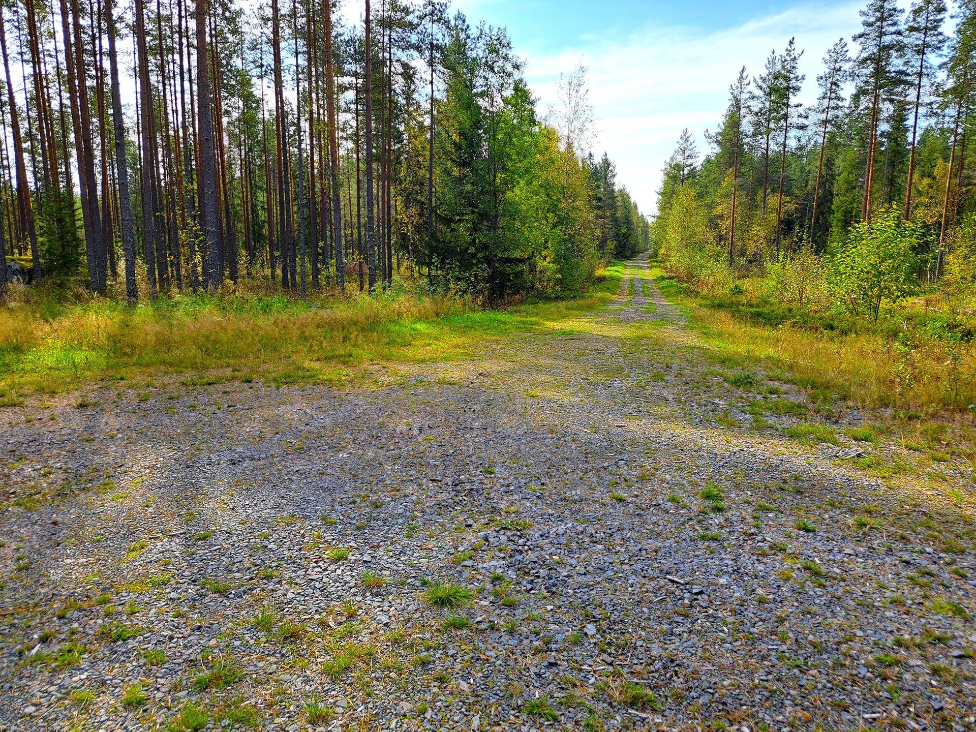 Perho Humalajoki LISÄKIVIRANTA 192:0 metsätila 24,12 ha. 2