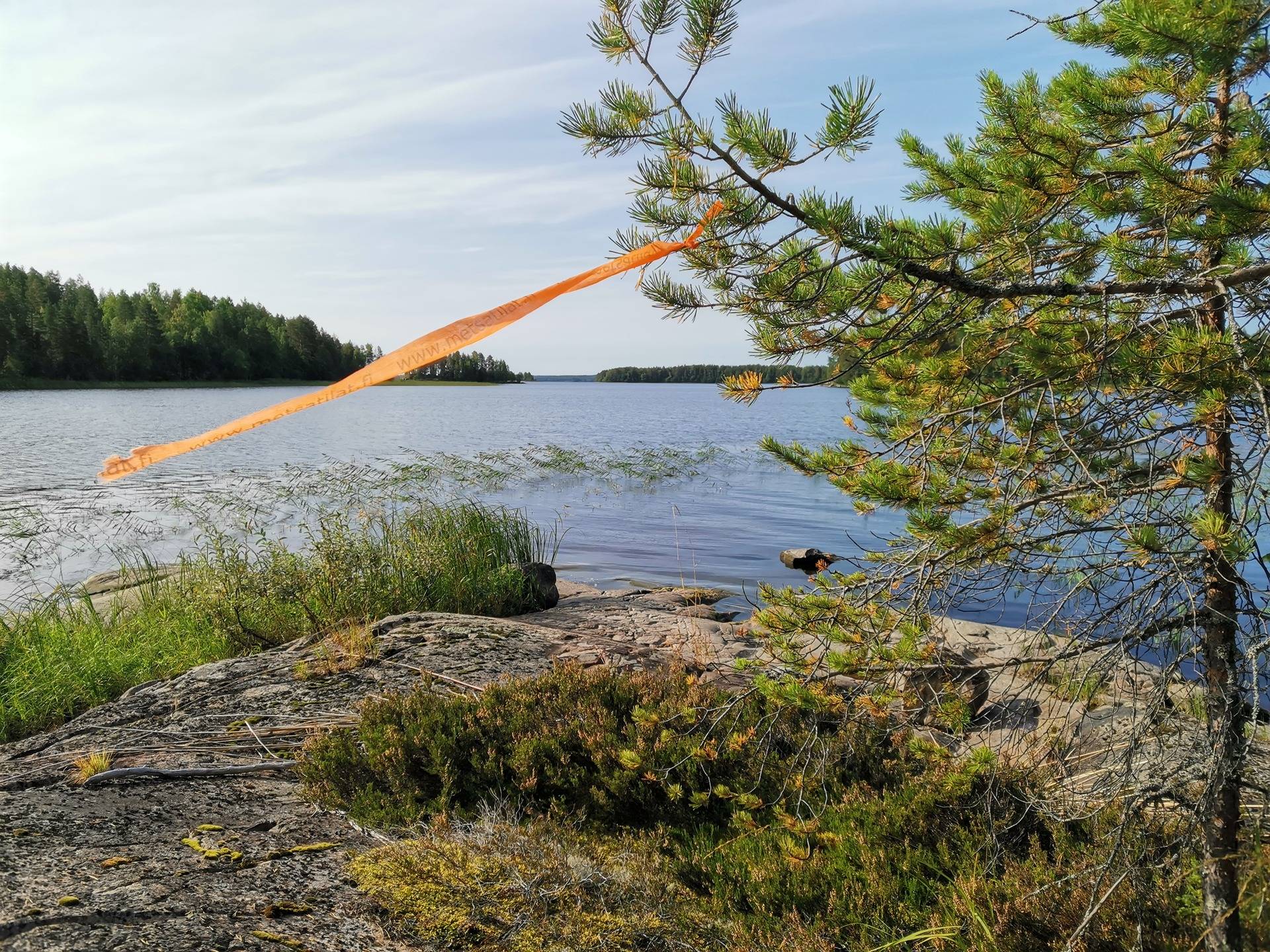 Kansikuva kohteelle TULINIEMI 541-409-30-72 määräala, Lipinlahti