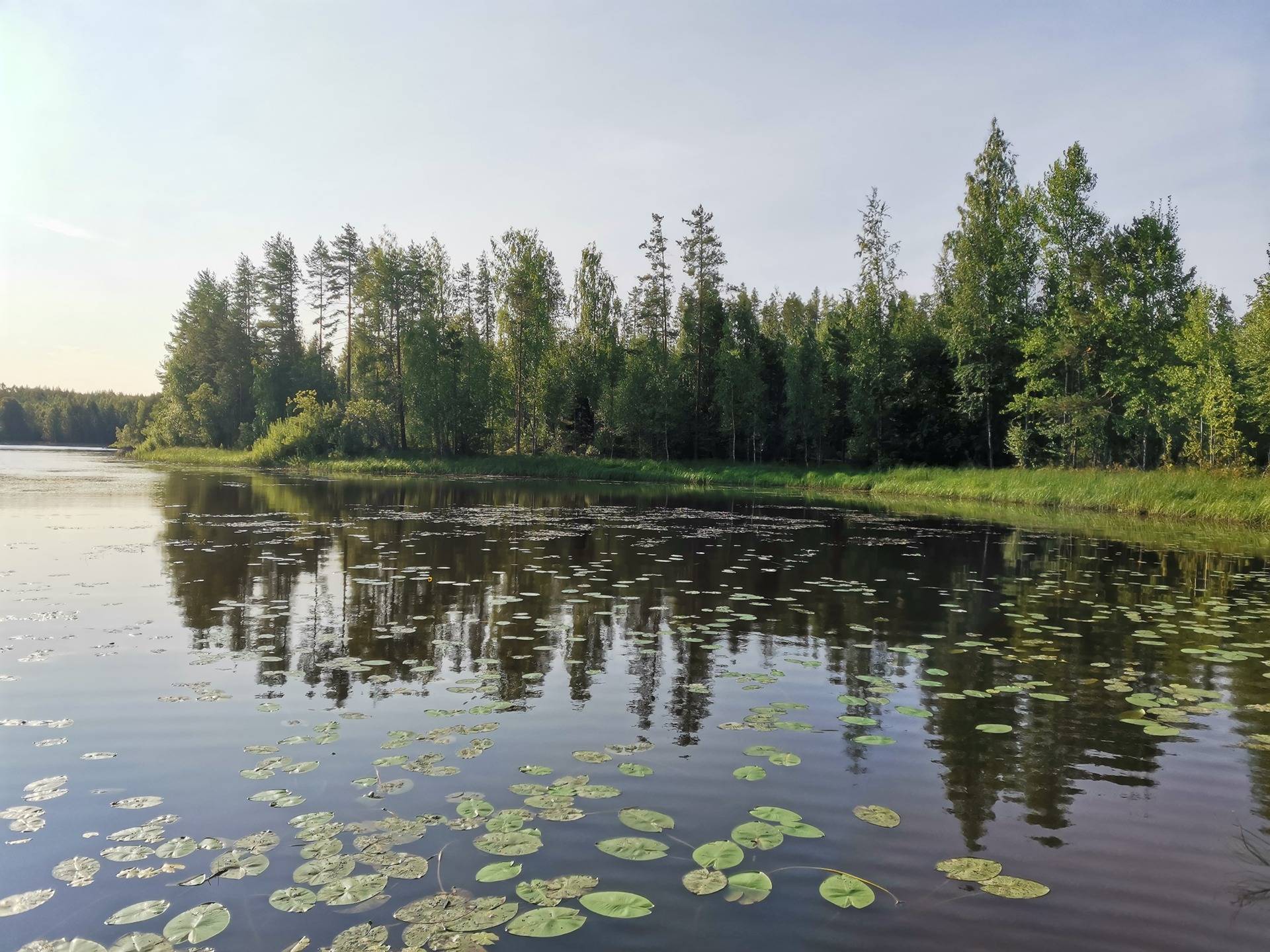 TULINIEMI 541-409-30-72 määräala, Lipinlahti 3