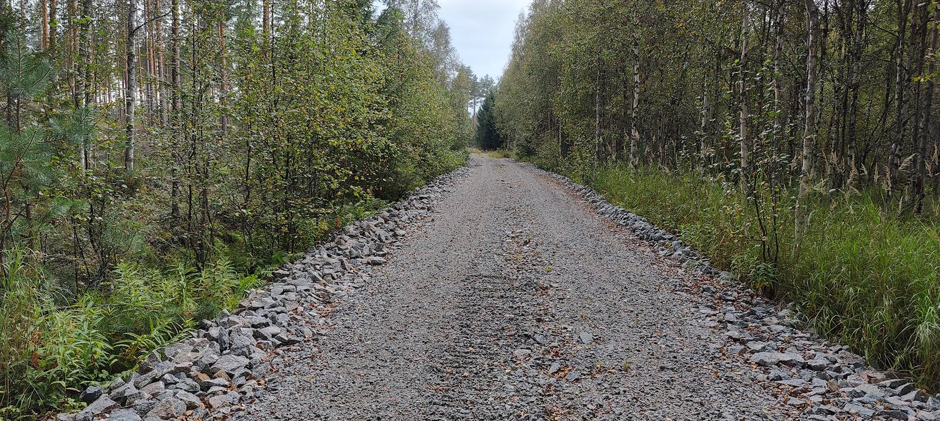 Määräala metsää Kankaanpäässä, Törmä 3