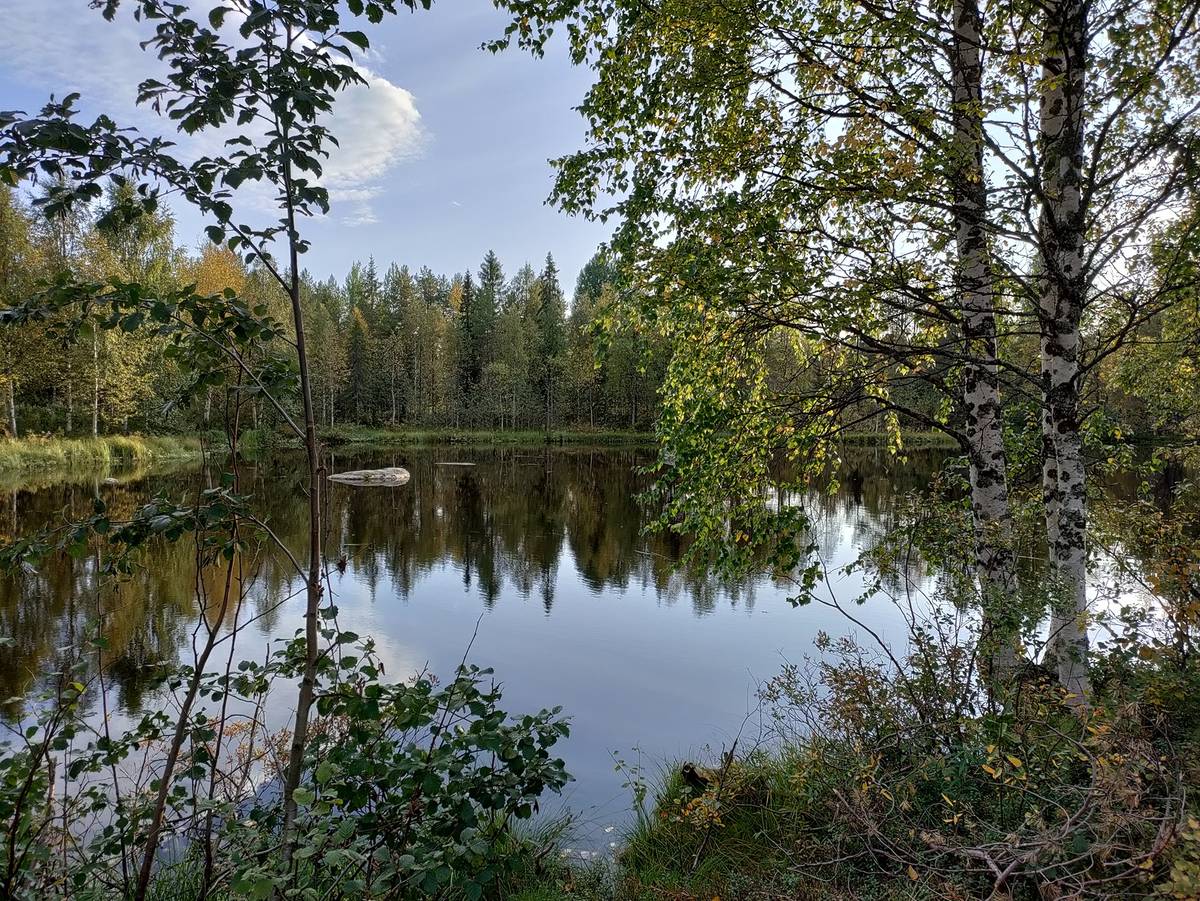 Kansikuva kohteelle Kuusamon yhteismetsä osuus 0,027400