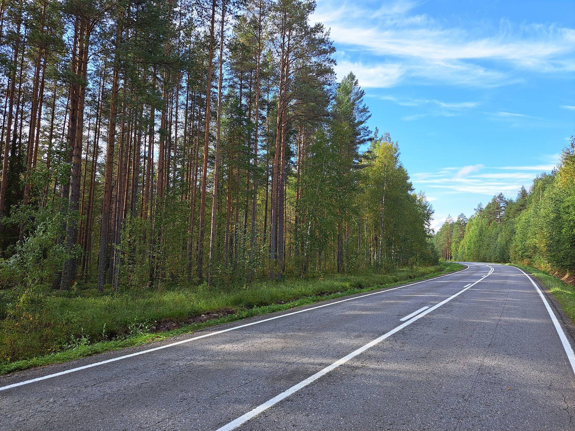 Perho Oksakoski LISÄ-KOSKIRANTA 207:2 metsätila 11,7 ha 1