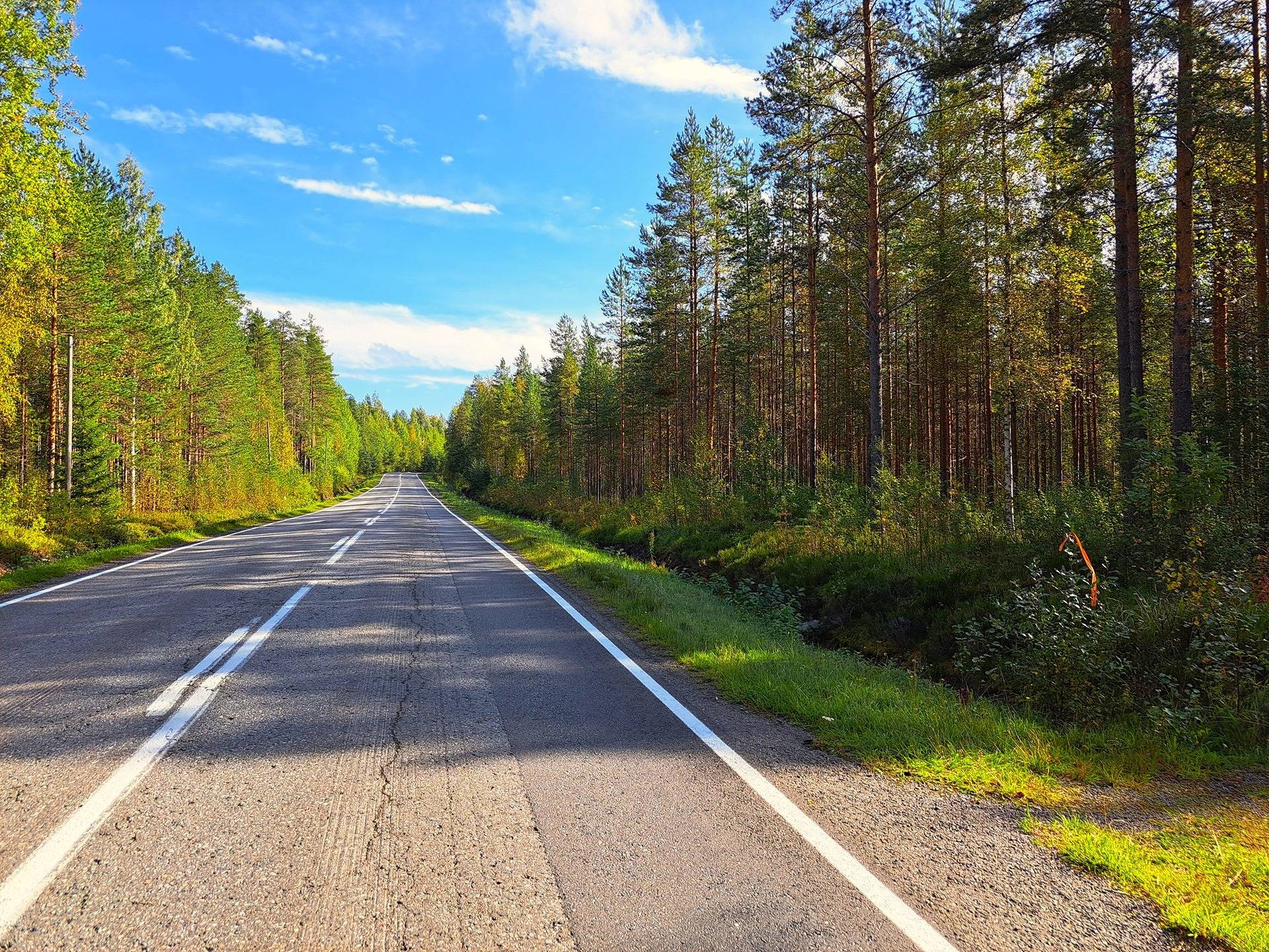 Perho Oksakoski LISÄ-KOSKIRANTA 207:2 metsätila 11,7 ha 7