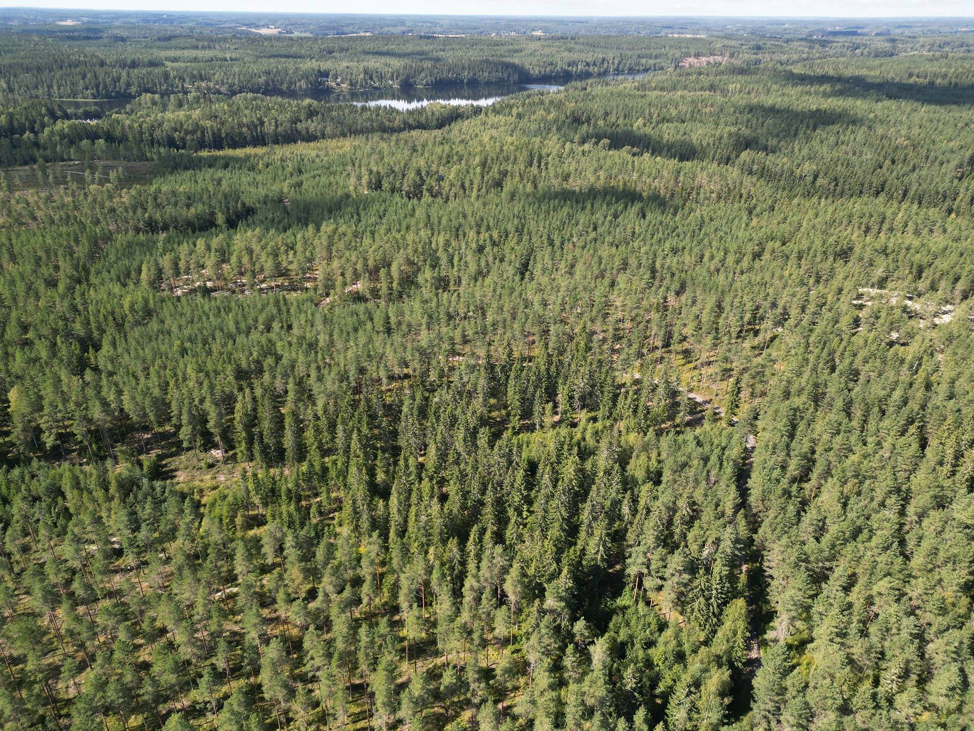 Metsämääräala tilasta Kulmala 1:18, Salo, Tieksmäki 36