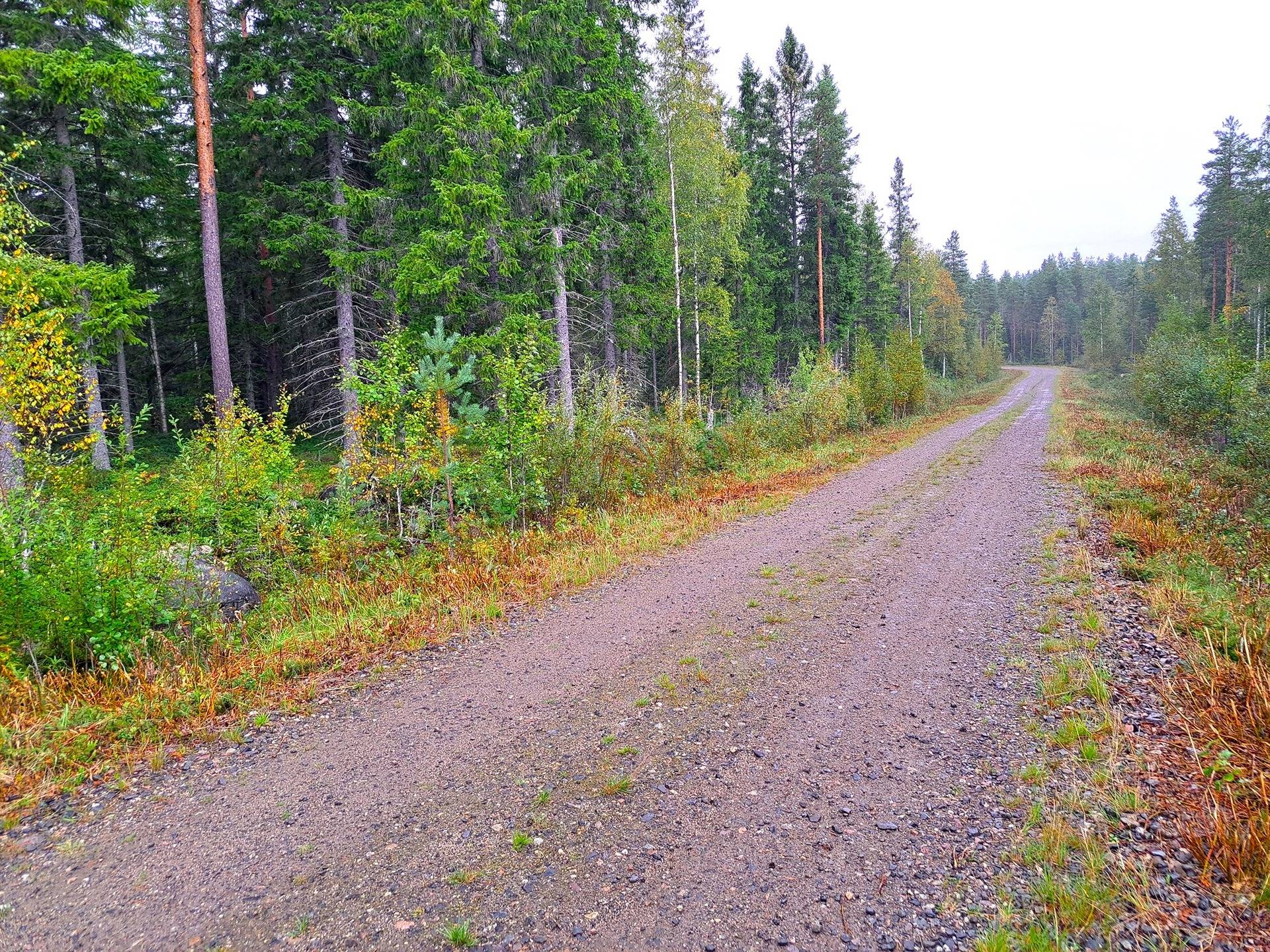 Lappajärvi Tarvola metsäpalsta 44,0 ha 2