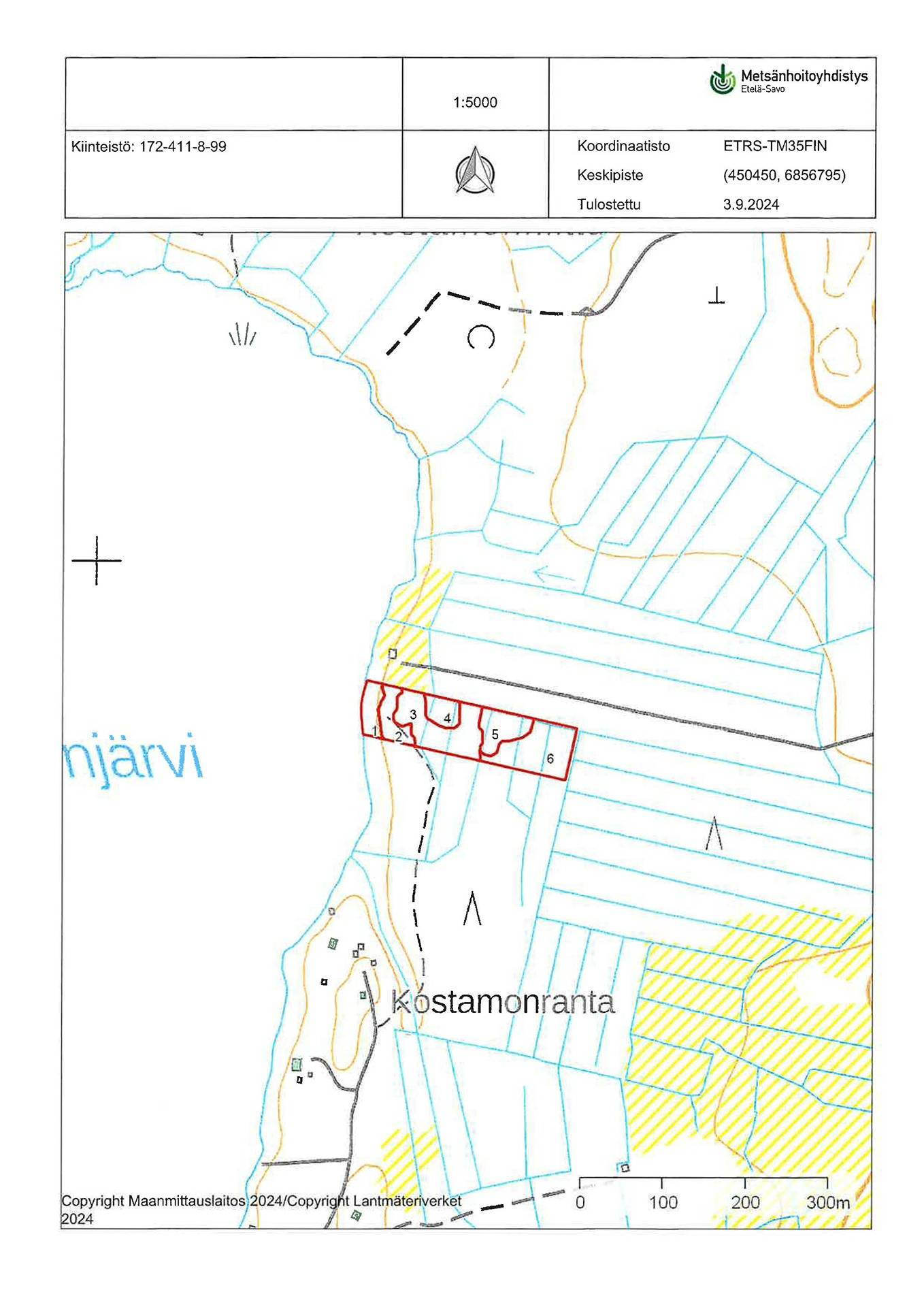 Joutsa, Joutsenranta 8:99, 1,63 ha 9