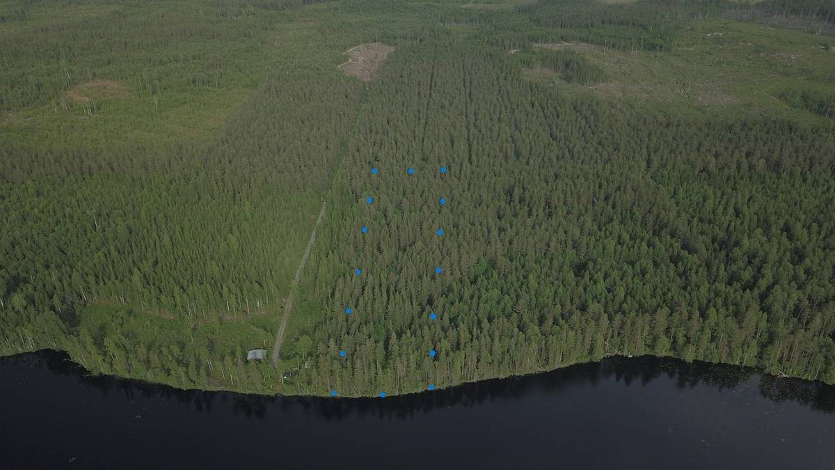 Omslagsbild för objektet Joutsa, Joutsenranta 8:99, 1,63 ha