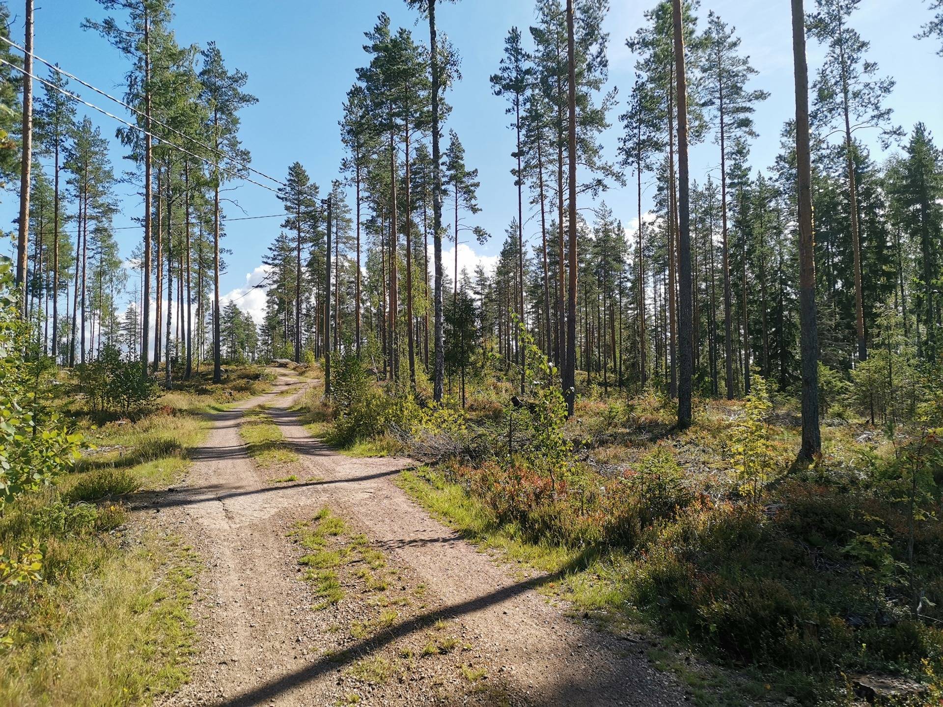 Omslagsbild för objektet Harjula 75-431-1-4 (määräala)