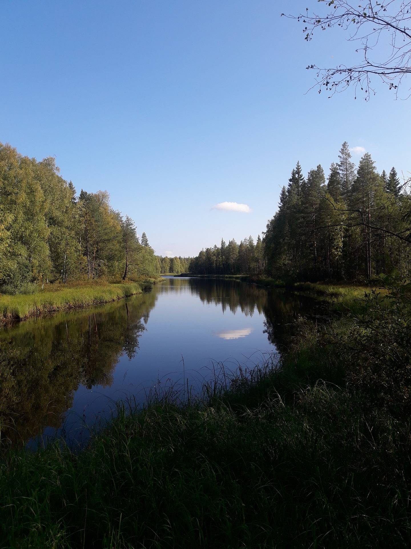 Omslagsbild för objektet Monako 290-407-23-49