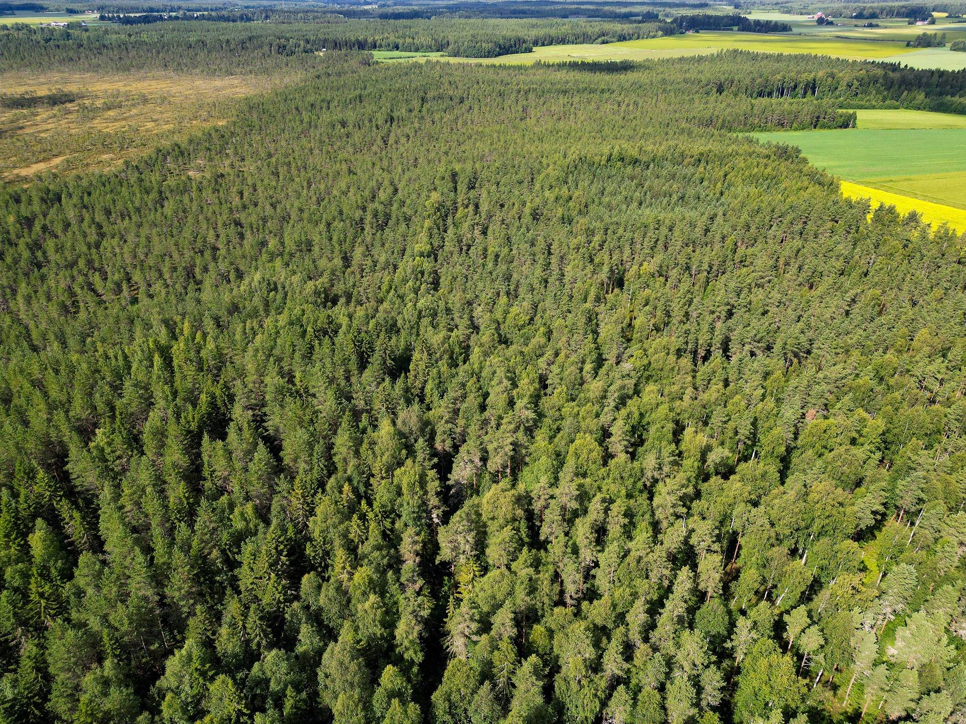 Isokyrö, Pitkärämäköntie ja Lehmäjoki, Rinta-Ollikkala 2:144 17