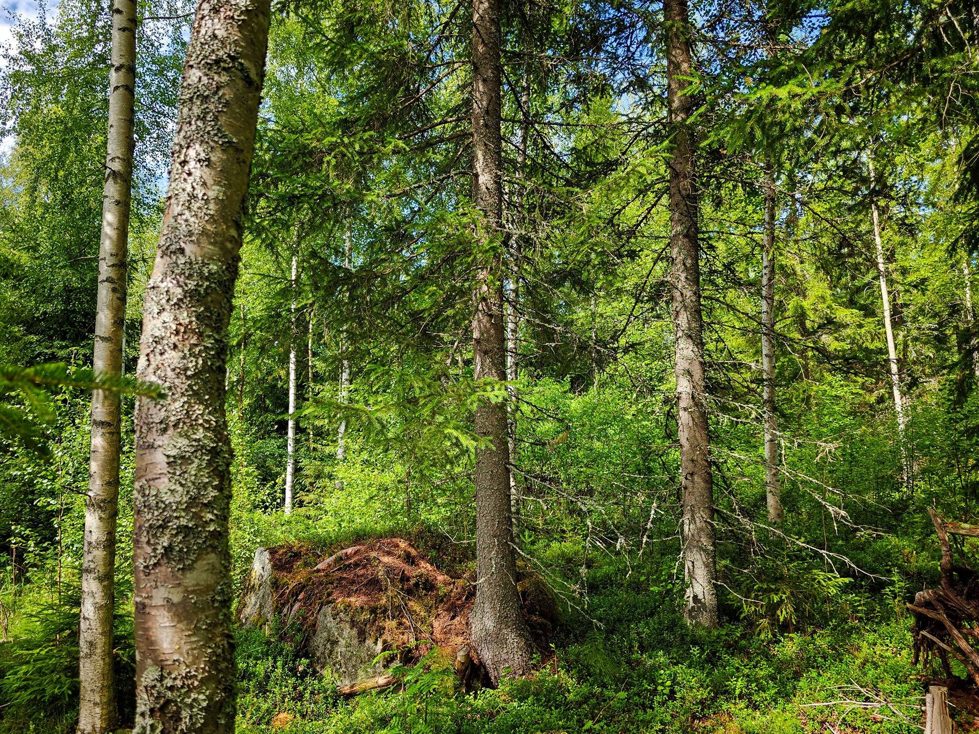 Isokyrö, Pitkärämäköntie ja Lehmäjoki, Rinta-Ollikkala 2:144 22