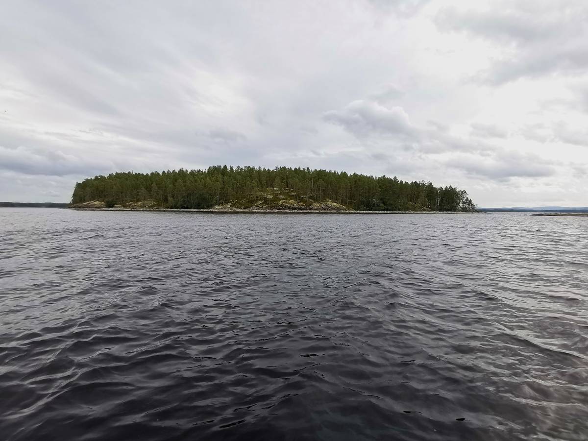 Omslagsbild för objektet LAMPOSAARI 422-432-11-68, Vuonislahti