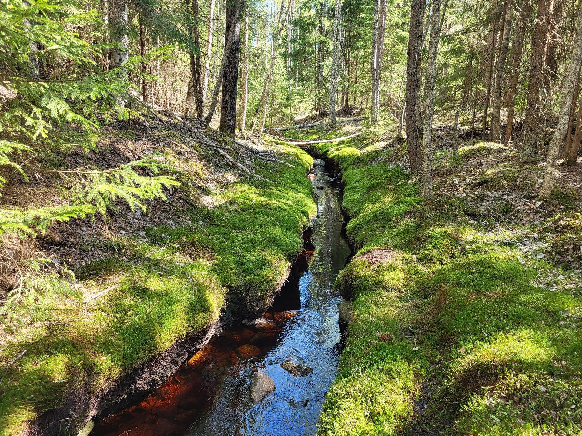 Metsämääräala Rantala 9:36 11