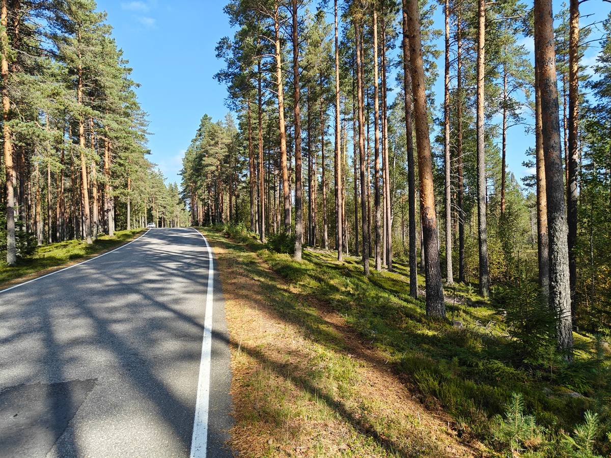 Omslagsbild för objektet Alajärvi, TIRISEVÄ 5-413-3-307