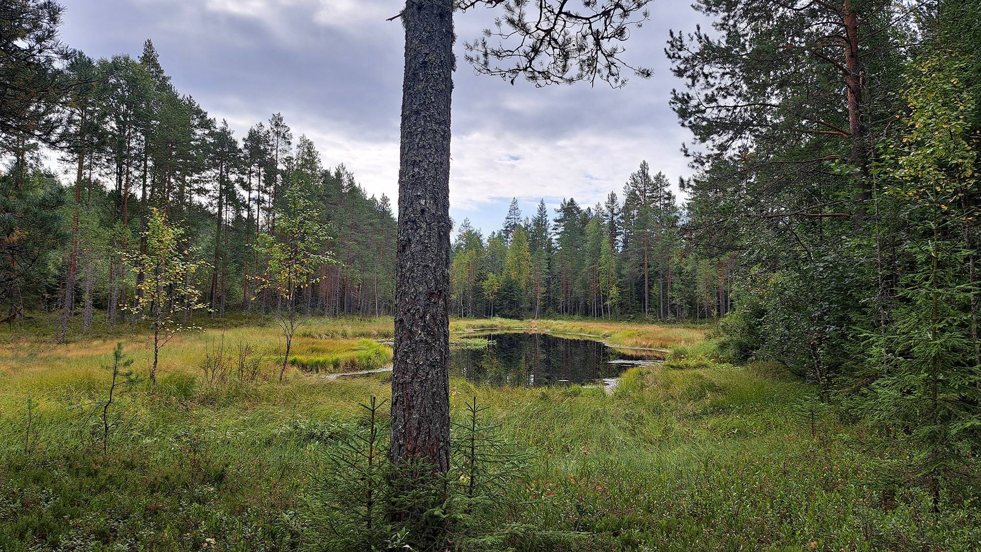 Omslagsbild för objektet Rantakoti 740-525-8-17