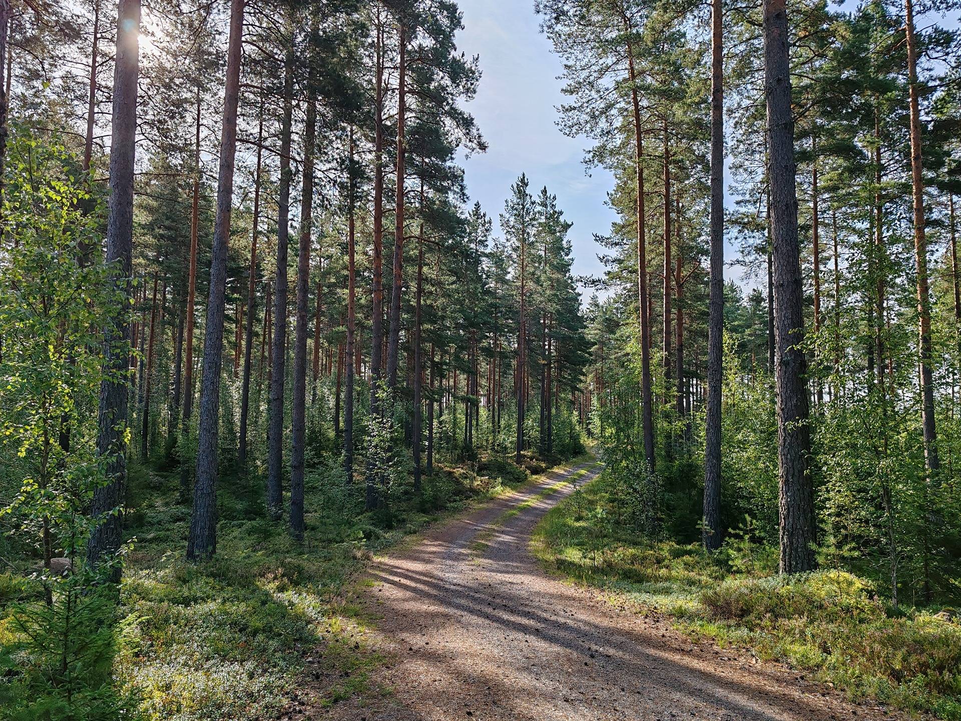 Metsämääräala tilasta Väinölä 1:119, Raasepori, Kelkkala 4