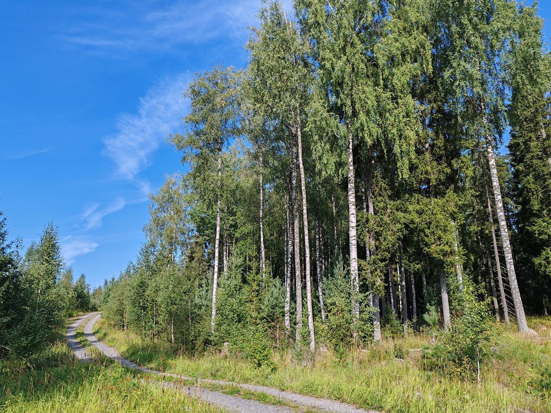 Metsämääräala tilasta Väinölä 1:119, Raasepori, Kelkkala 7