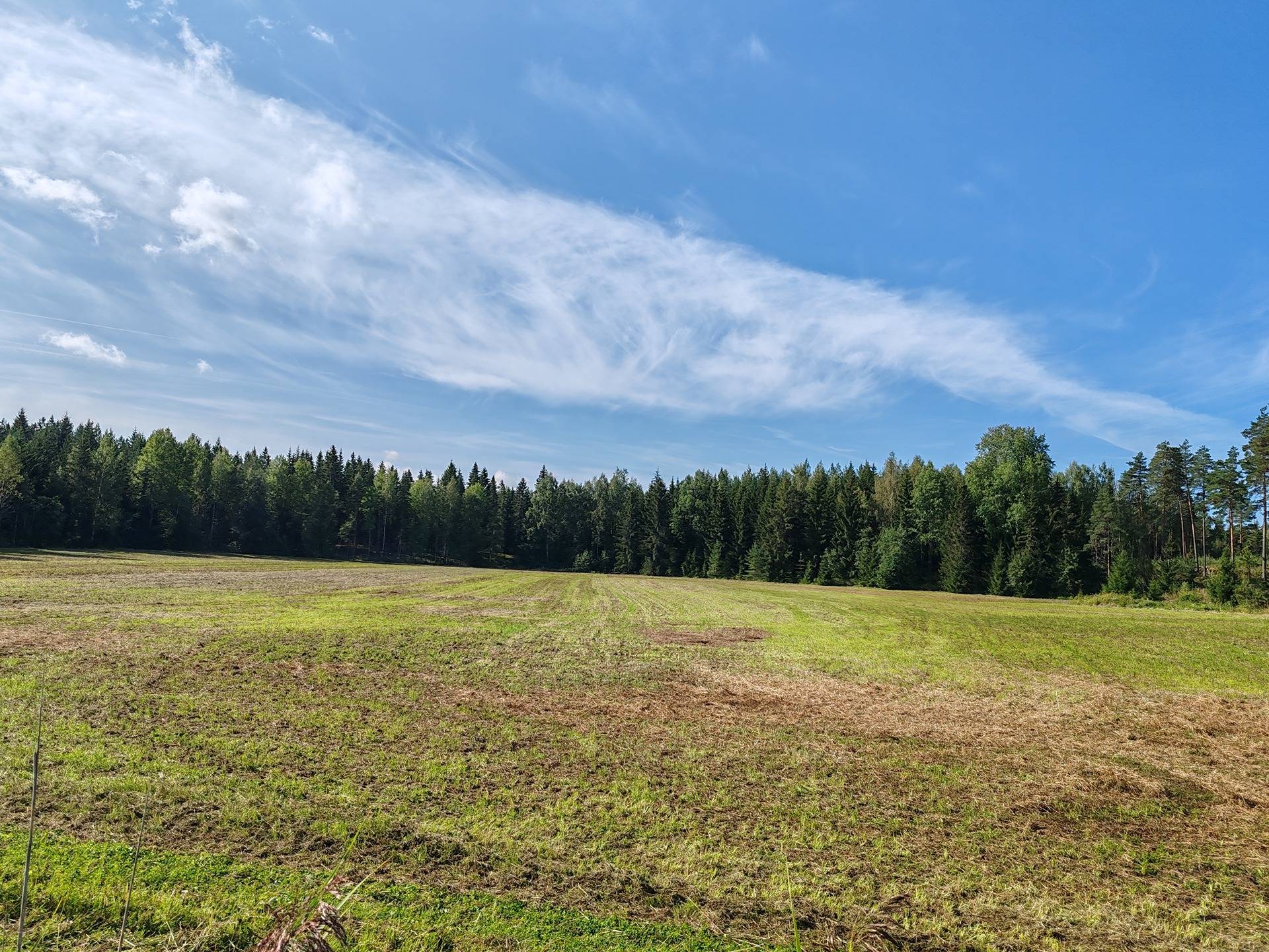 Metsämääräala tilasta Väinölä 1:119, Raasepori, Kelkkala 9