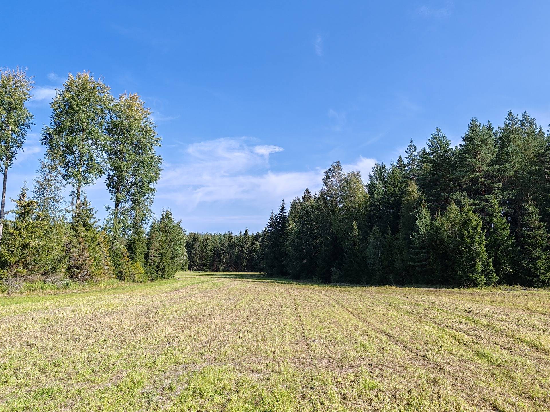 Metsämääräala tilasta Väinölä 1:119, Raasepori, Kelkkala 11