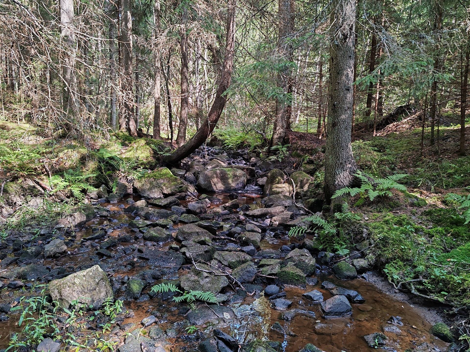 Metsämääräala tilasta Väinölä 1:119, Raasepori, Kelkkala 22