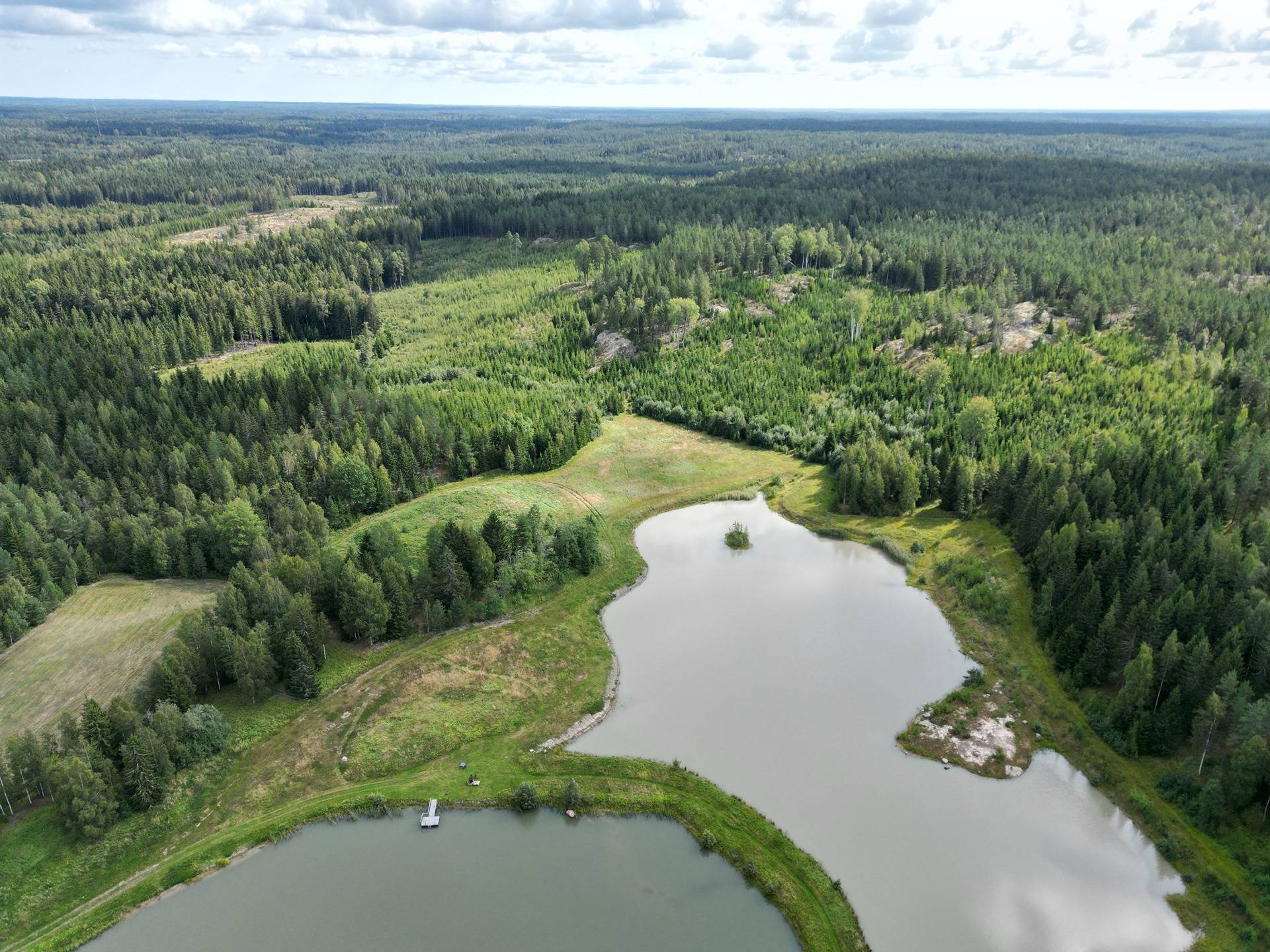 Metsämääräala tilasta Väinölä 1:119, Raasepori, Kelkkala 24