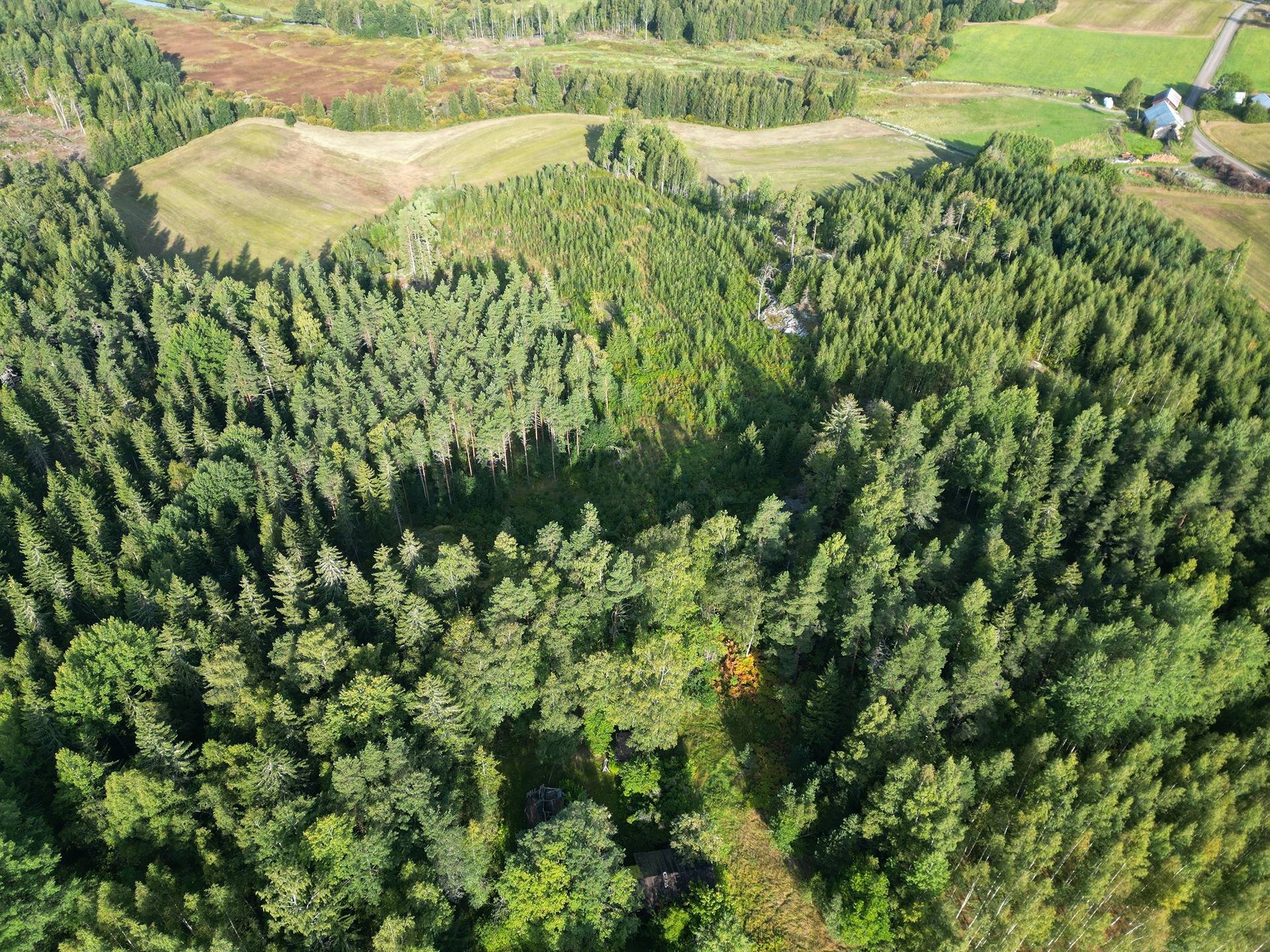 Määräala metsää ja peltoa tilasta Väinölä 1:119, Raasepori, Kelkkala 4