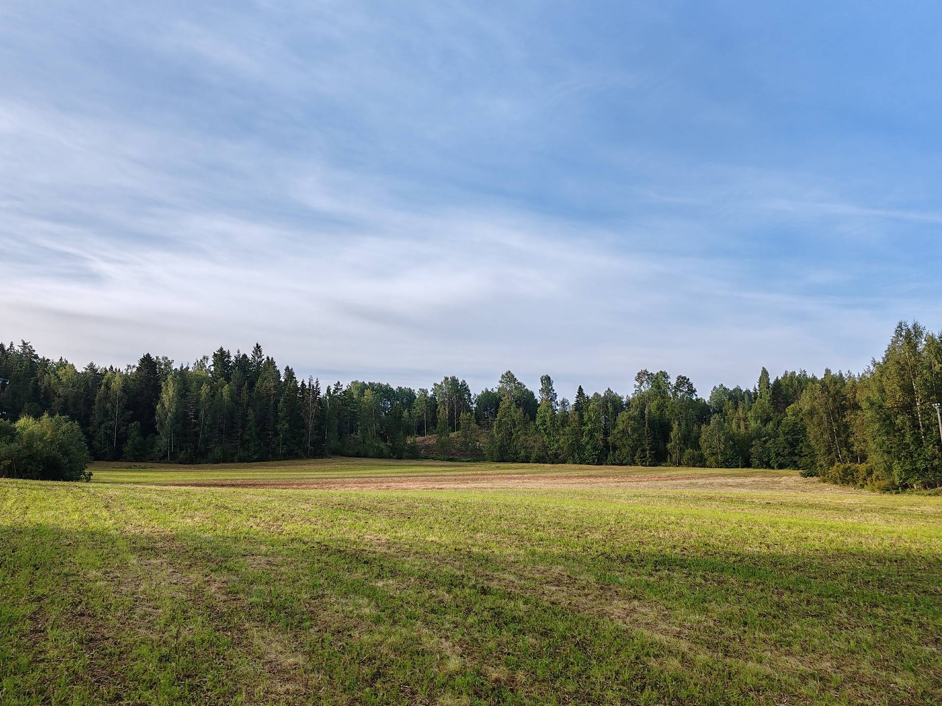 Määräala metsää ja peltoa tilasta Väinölä 1:119, Raasepori, Kelkkala 8